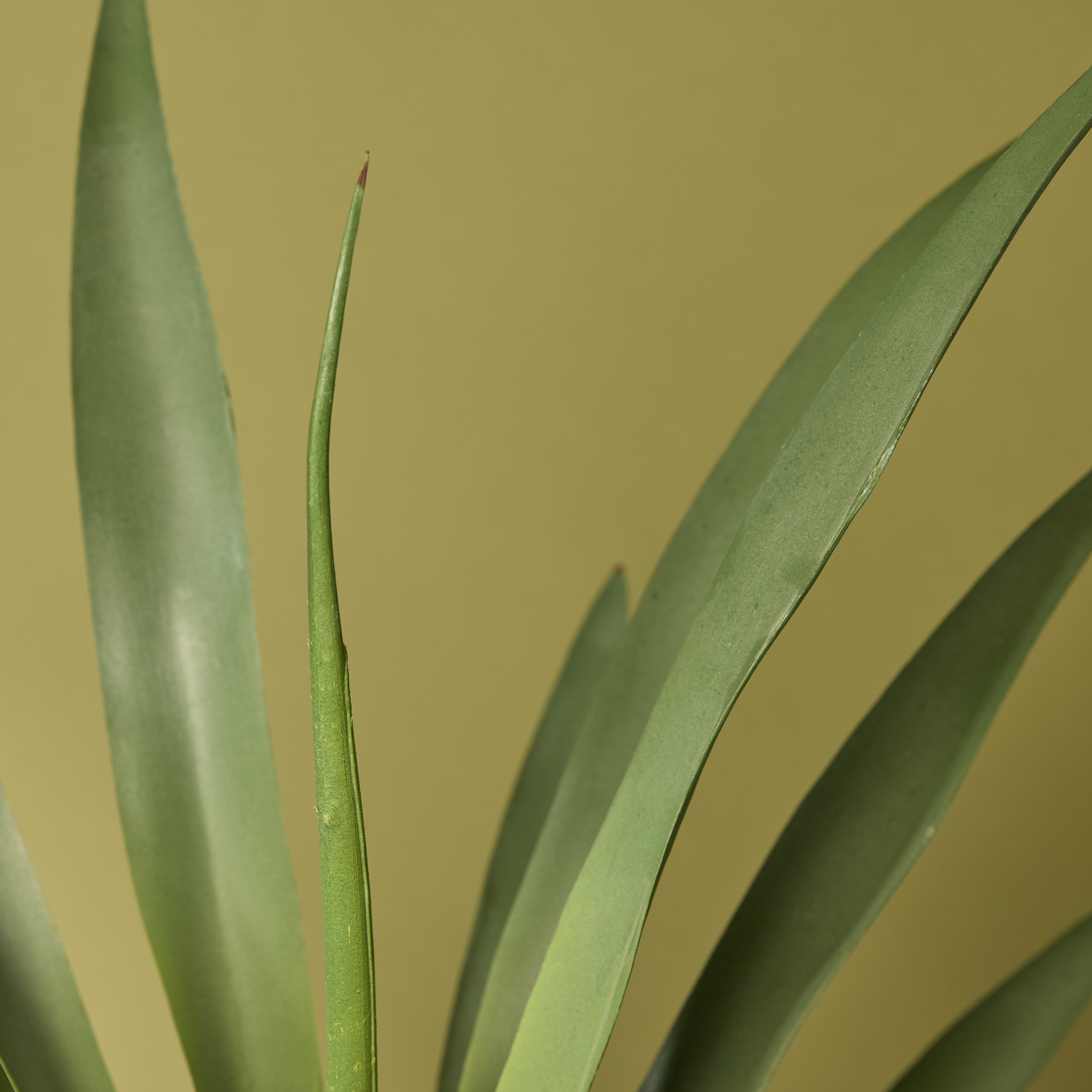 Faux Yucca Plant - Lyon Planter | Cream - 78cm