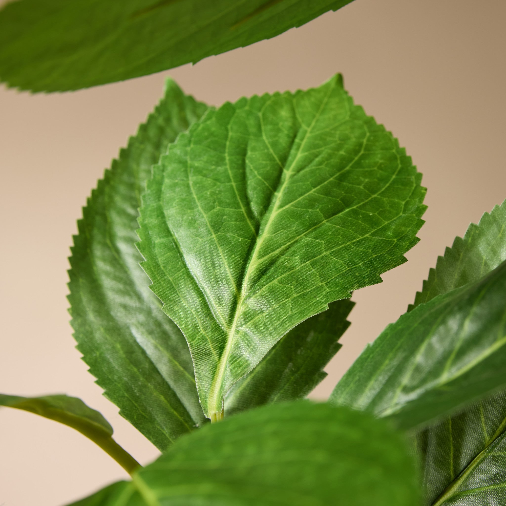 Faux Vivid Leaf Spray | 79cm