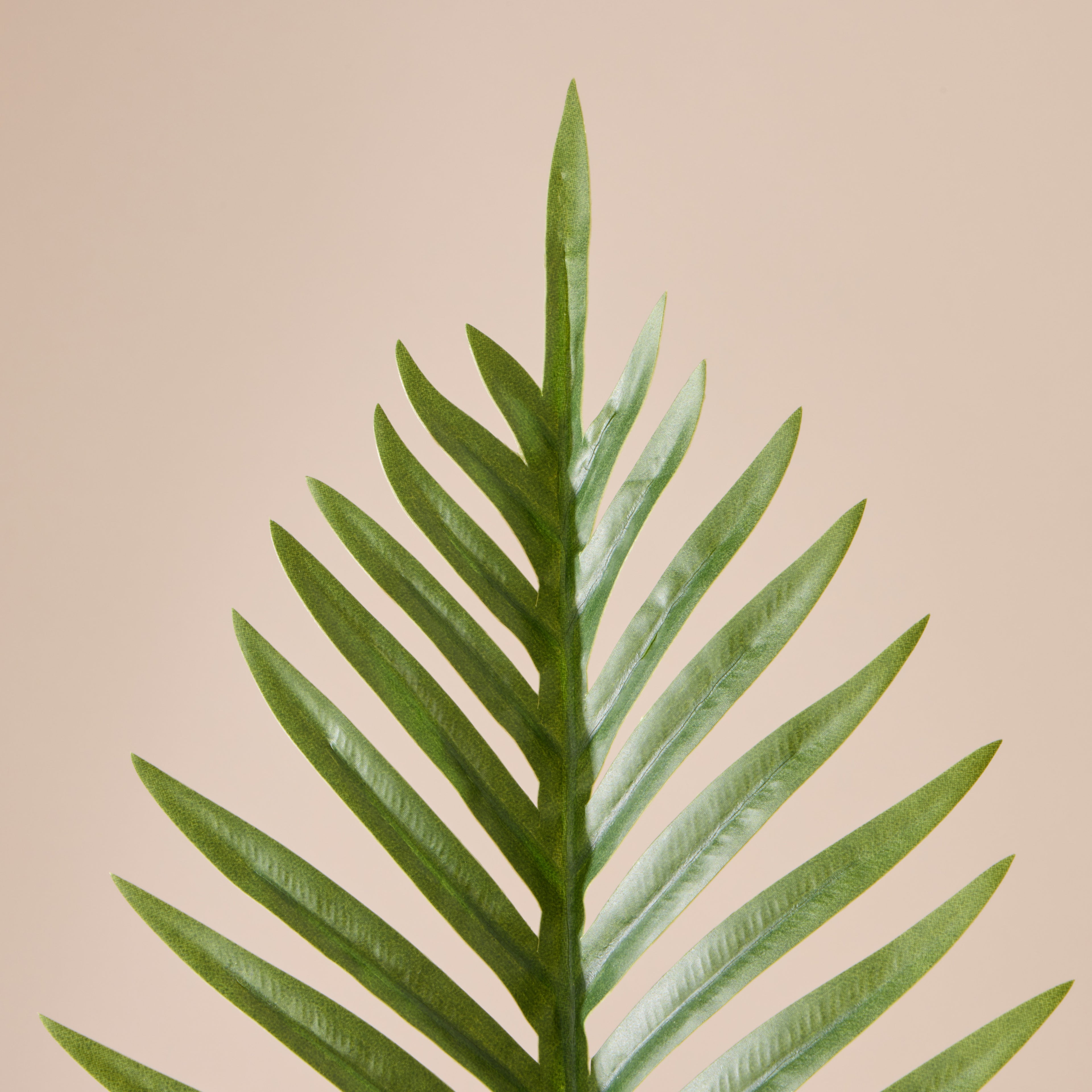Faux Fan Palm Leaf | Green - 100cm