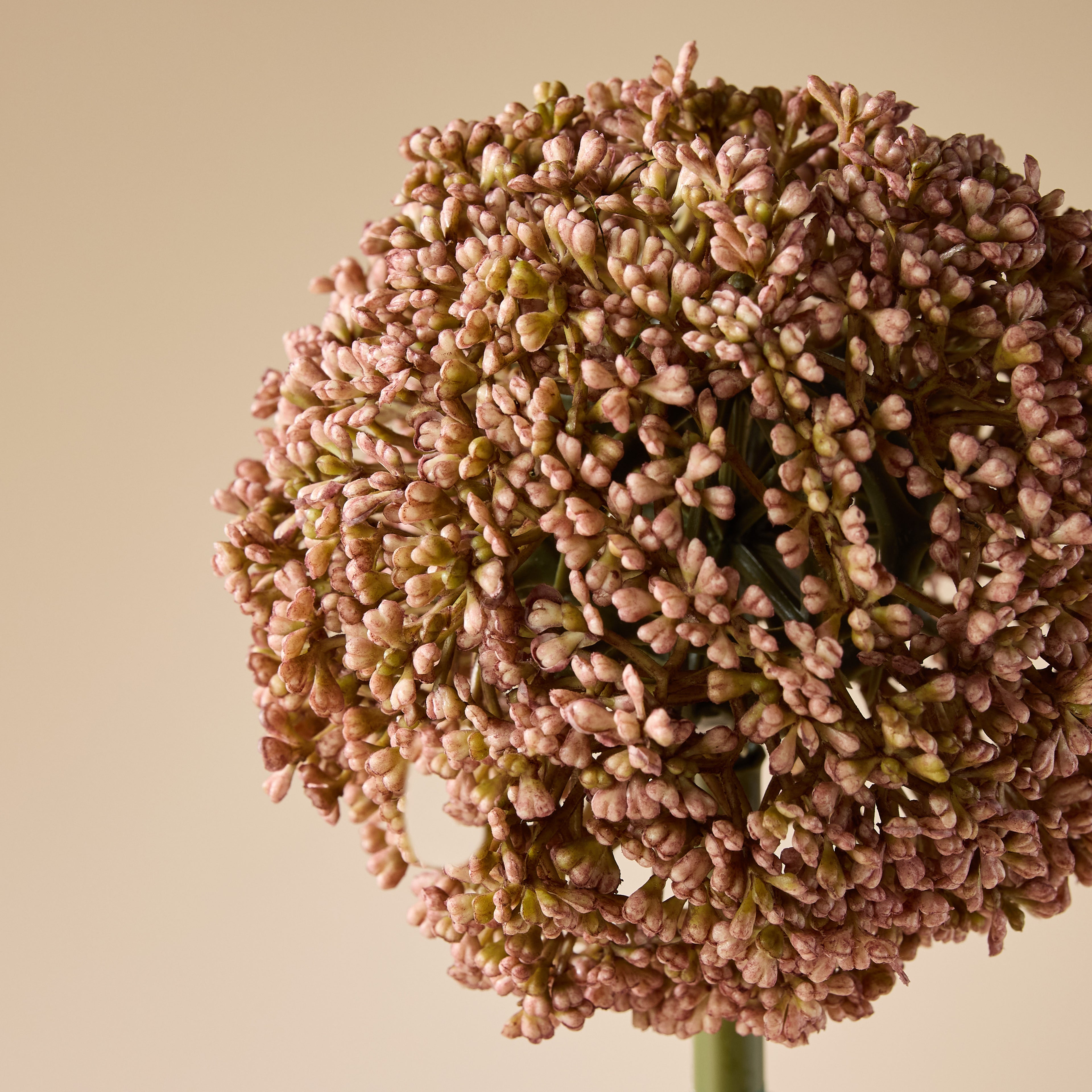 Faux Allium Stem | Pink - 76cm