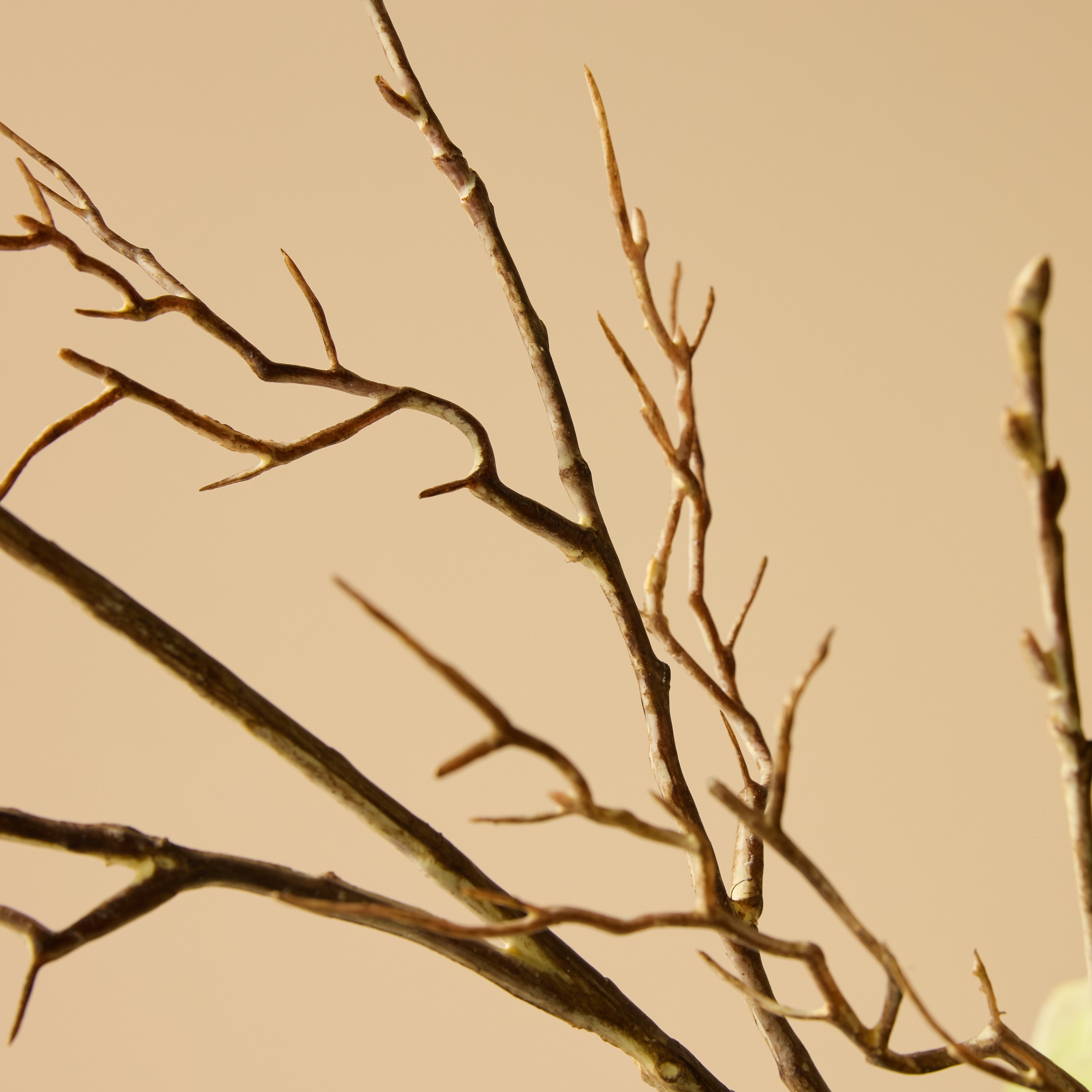 Faux Hydrangea Berry Arrangement - Maliah Pot | Green - 80cm