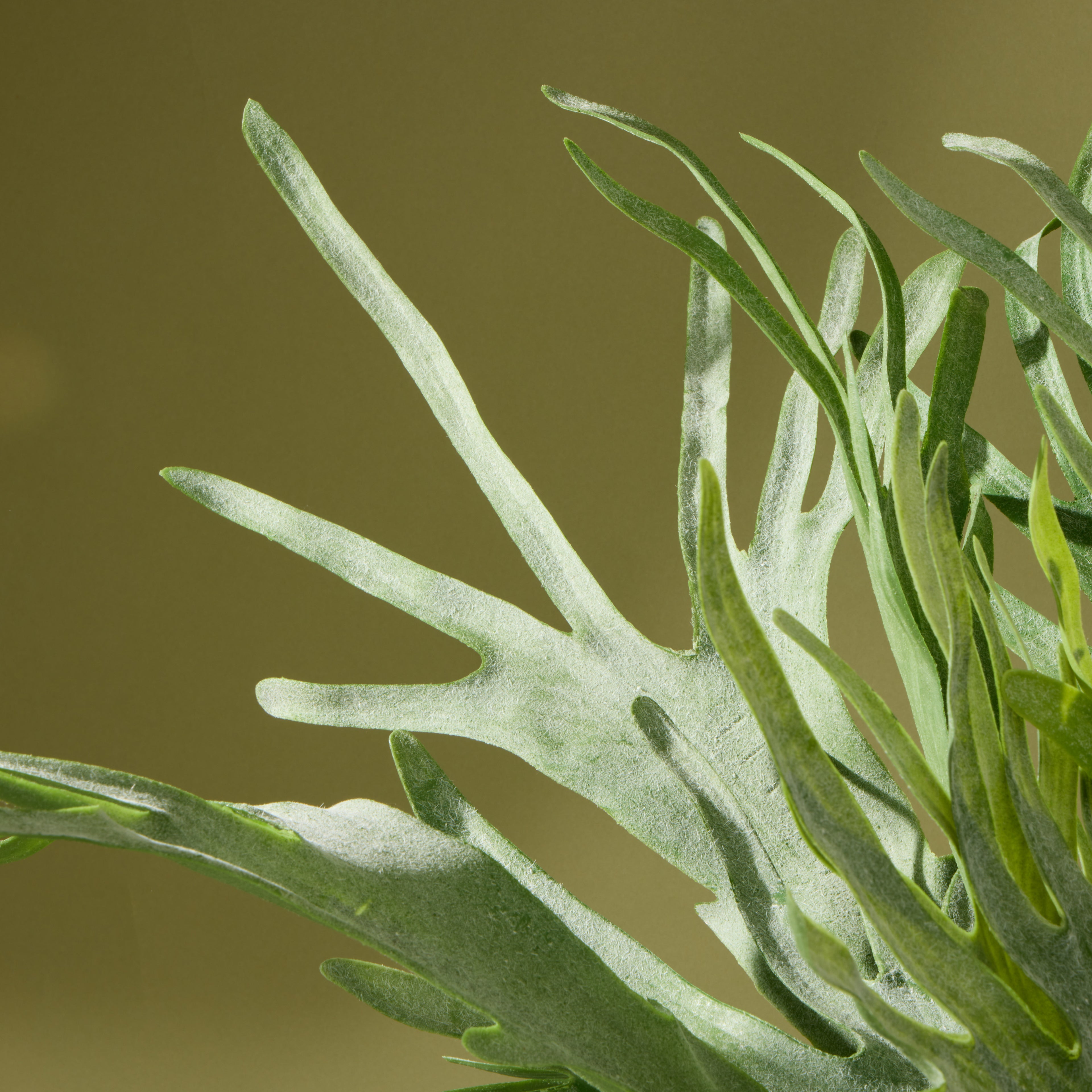 Faux Staghorn Fern - Lyon Planter | 76cm