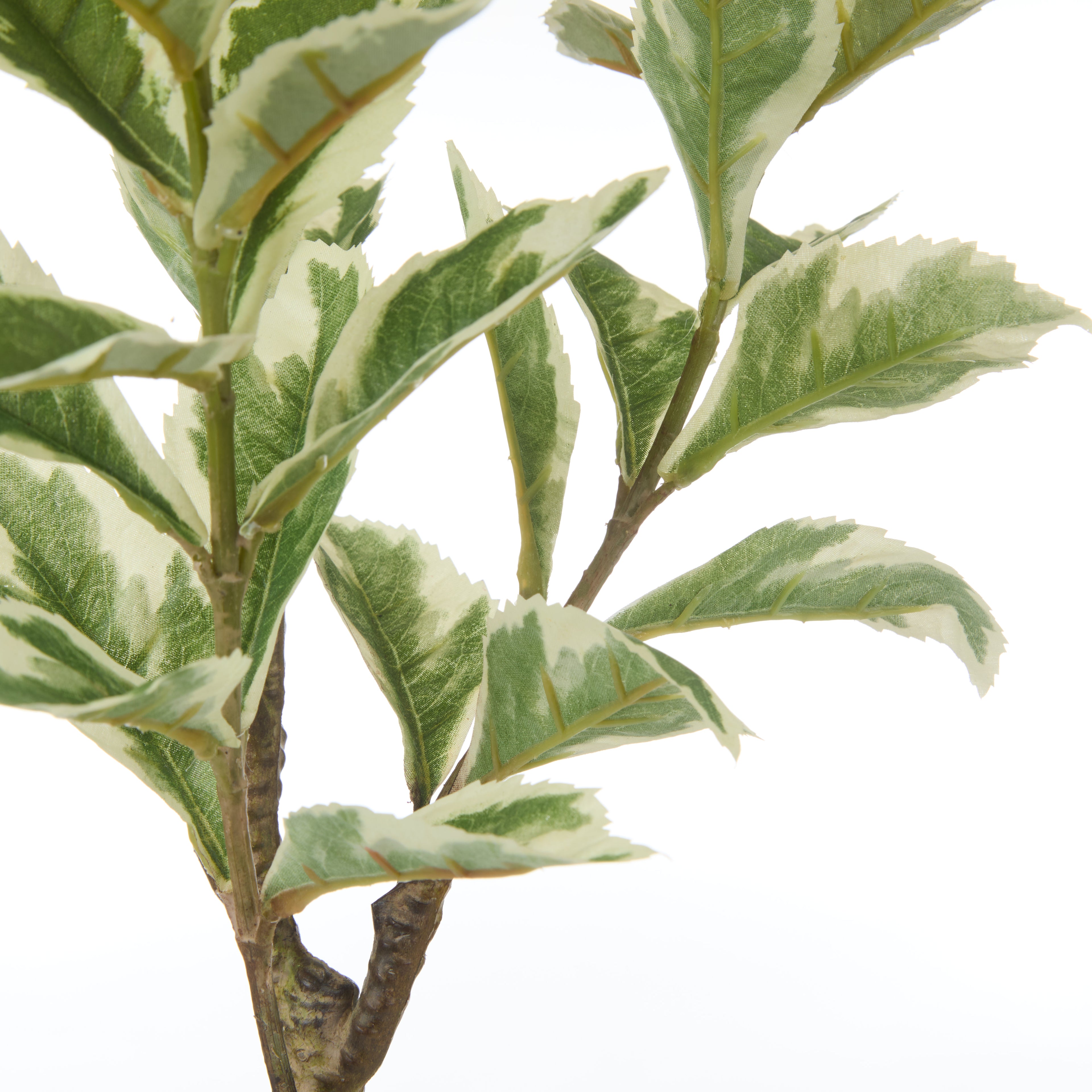Faux Ficus Variegated Spray | 53cm