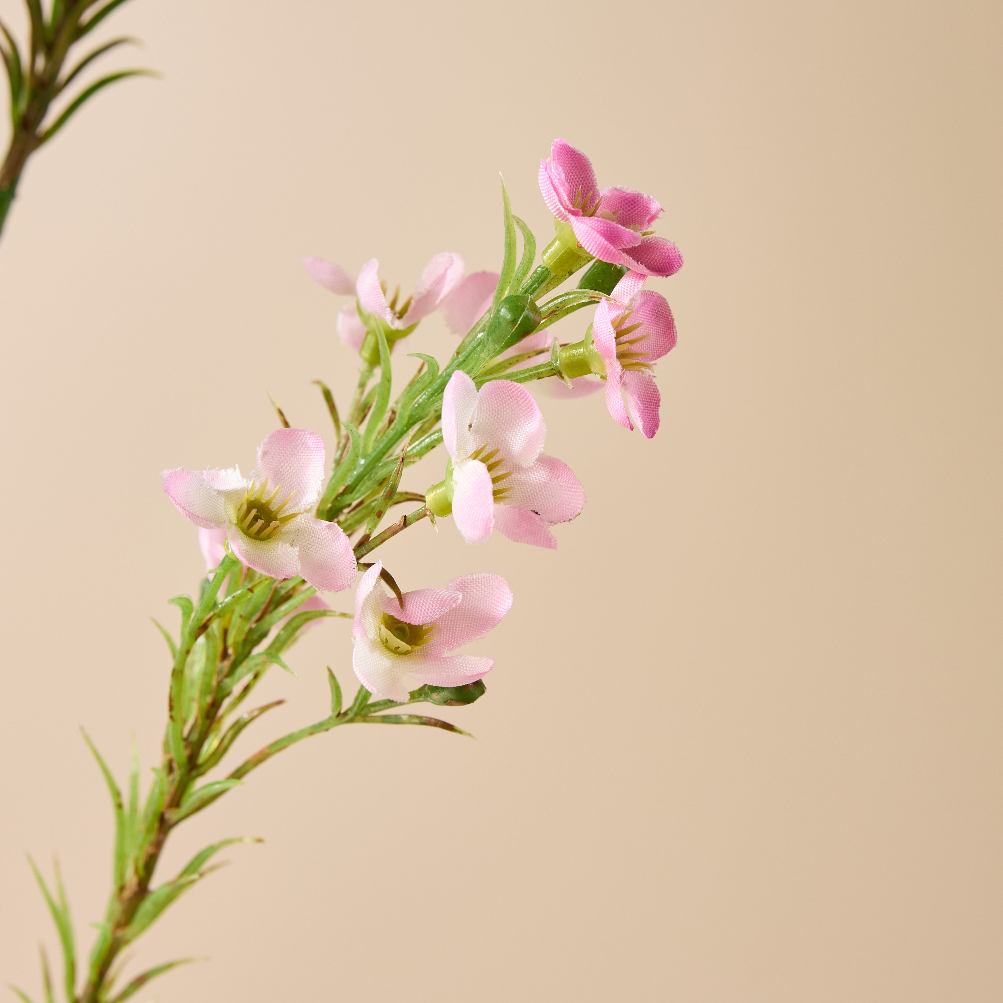 Faux Wax Flower Spray | Pink - 65cm
