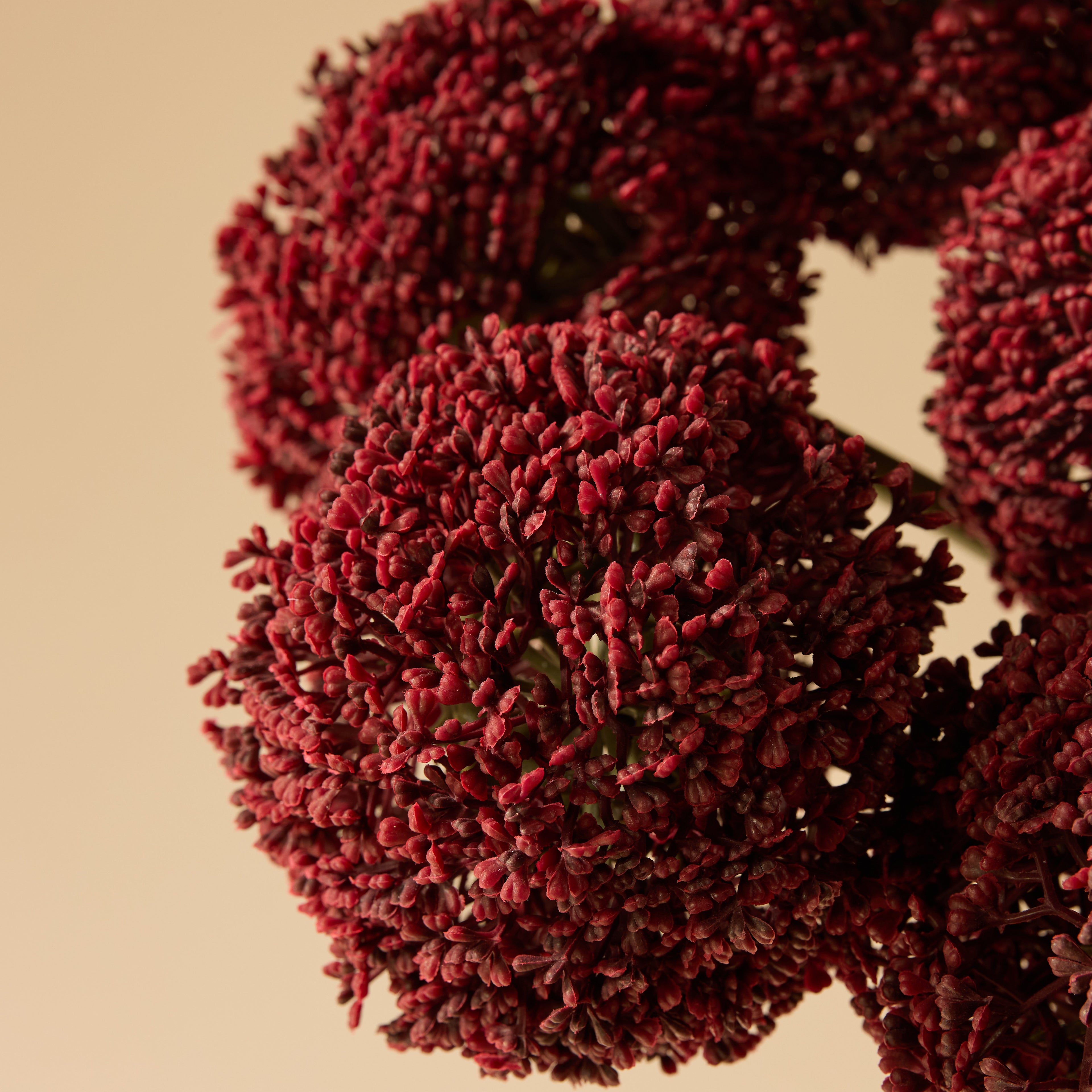 Faux Allium Spray Arrangement - Maliah Pot Black | Burgundy - 65cm