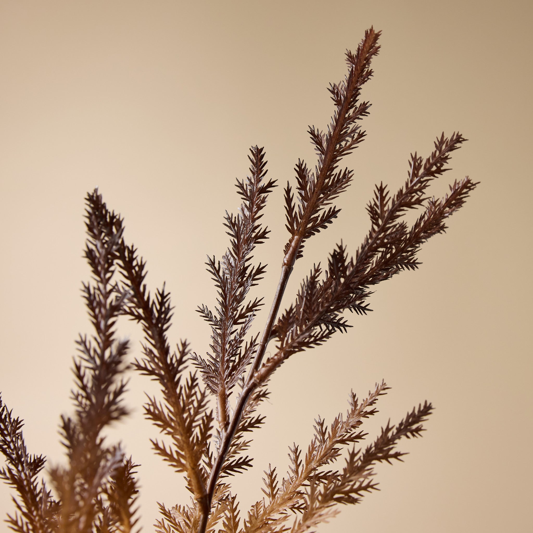 Faux Honey Bracelett Spray | 72cm