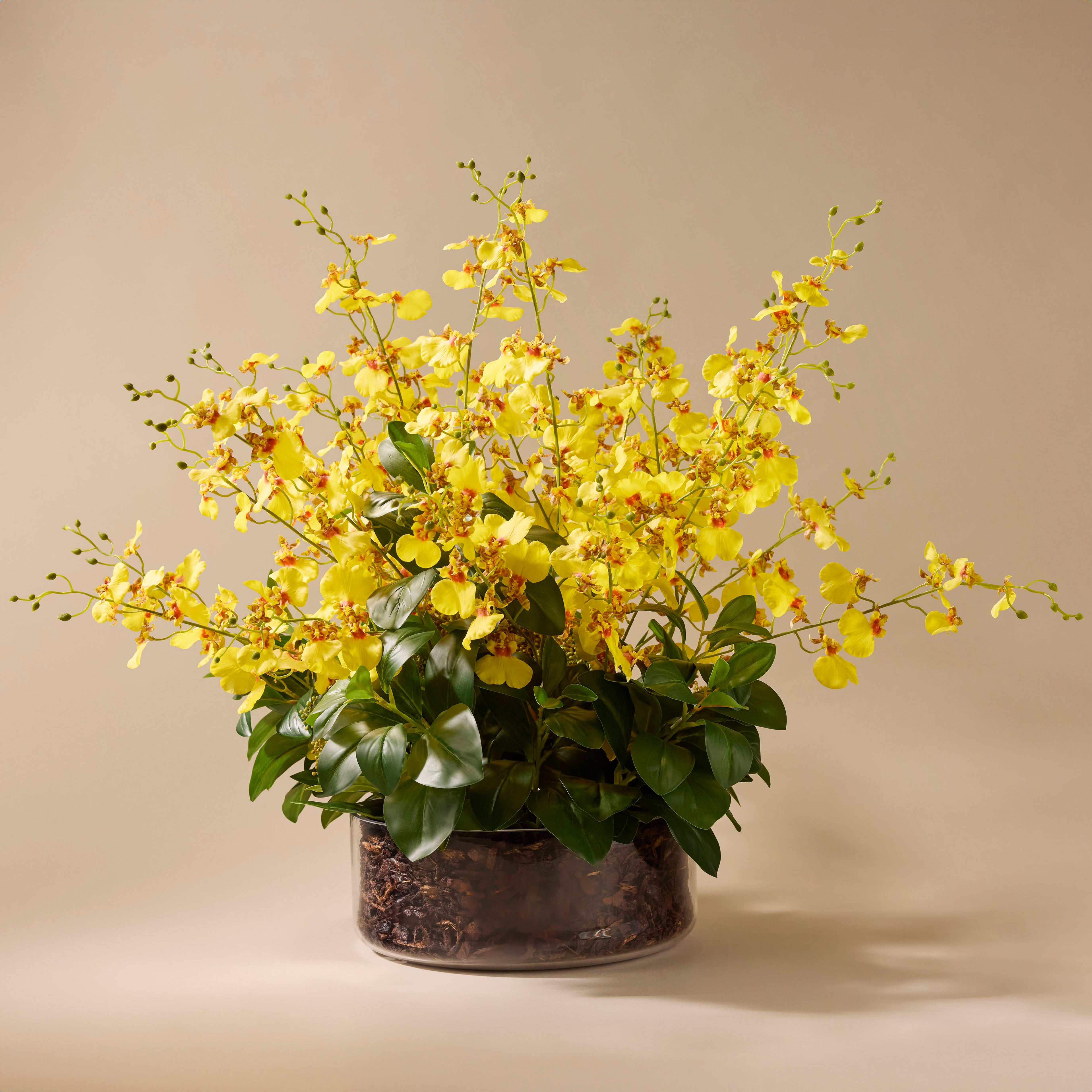 Faux Dancing Orchids - Madelyn Bowl | Yellow - 67cm