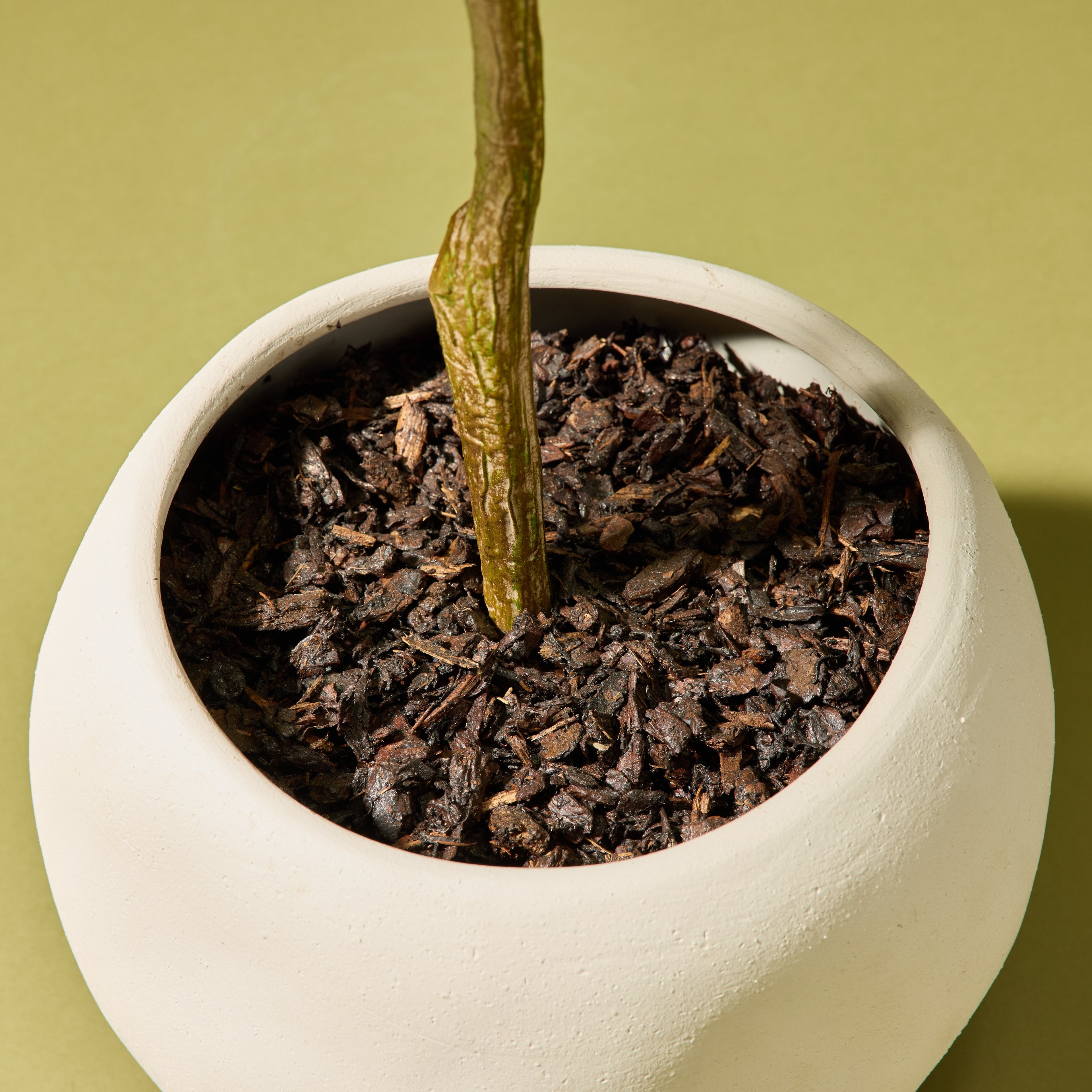 Faux Ficus Tree - Lyon Organic Bowl Planter | Cream - 125cm