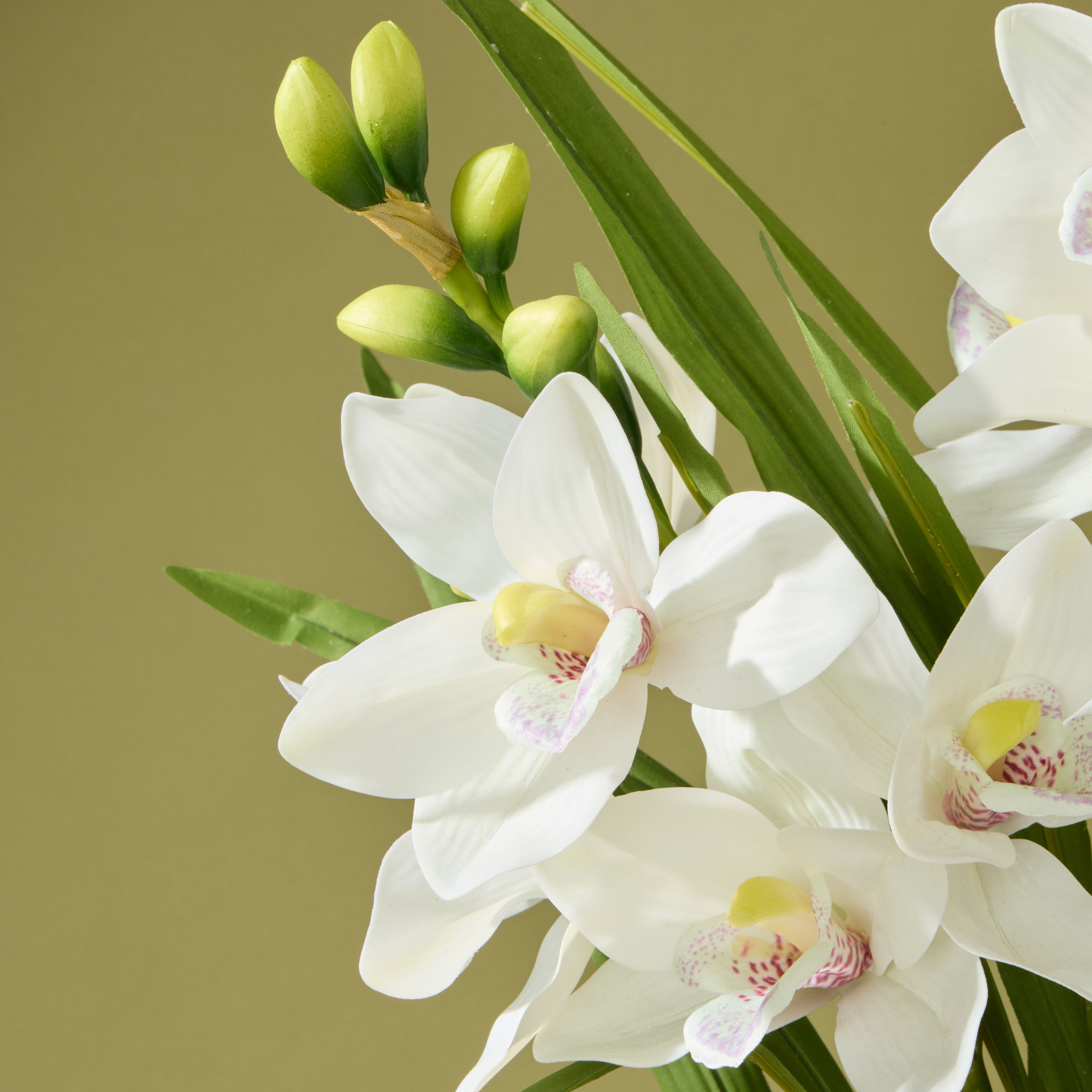 Faux Cymbidium Orchid Pot | White - 74cm