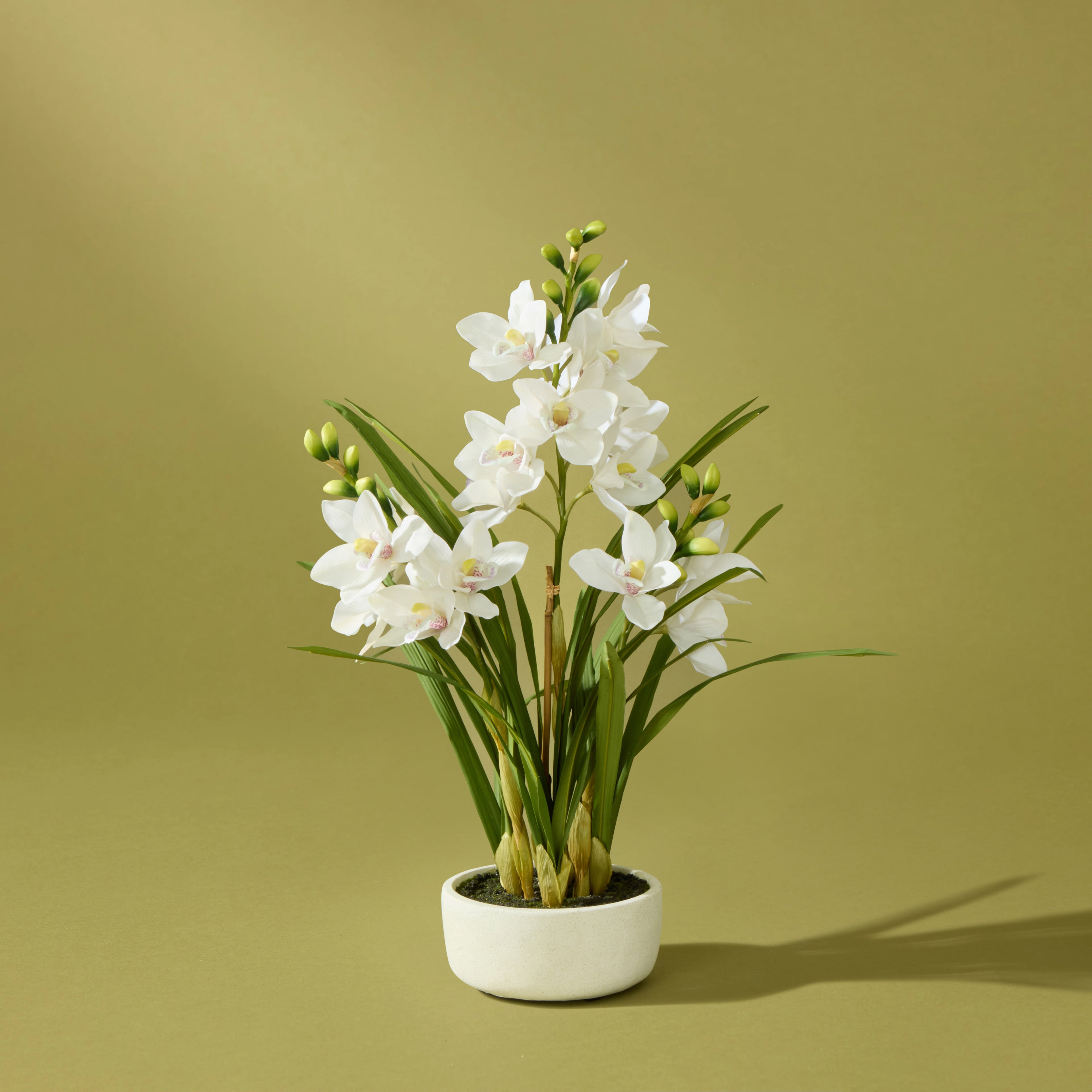 Faux Cymbidium Orchid Pot | White - 74cm