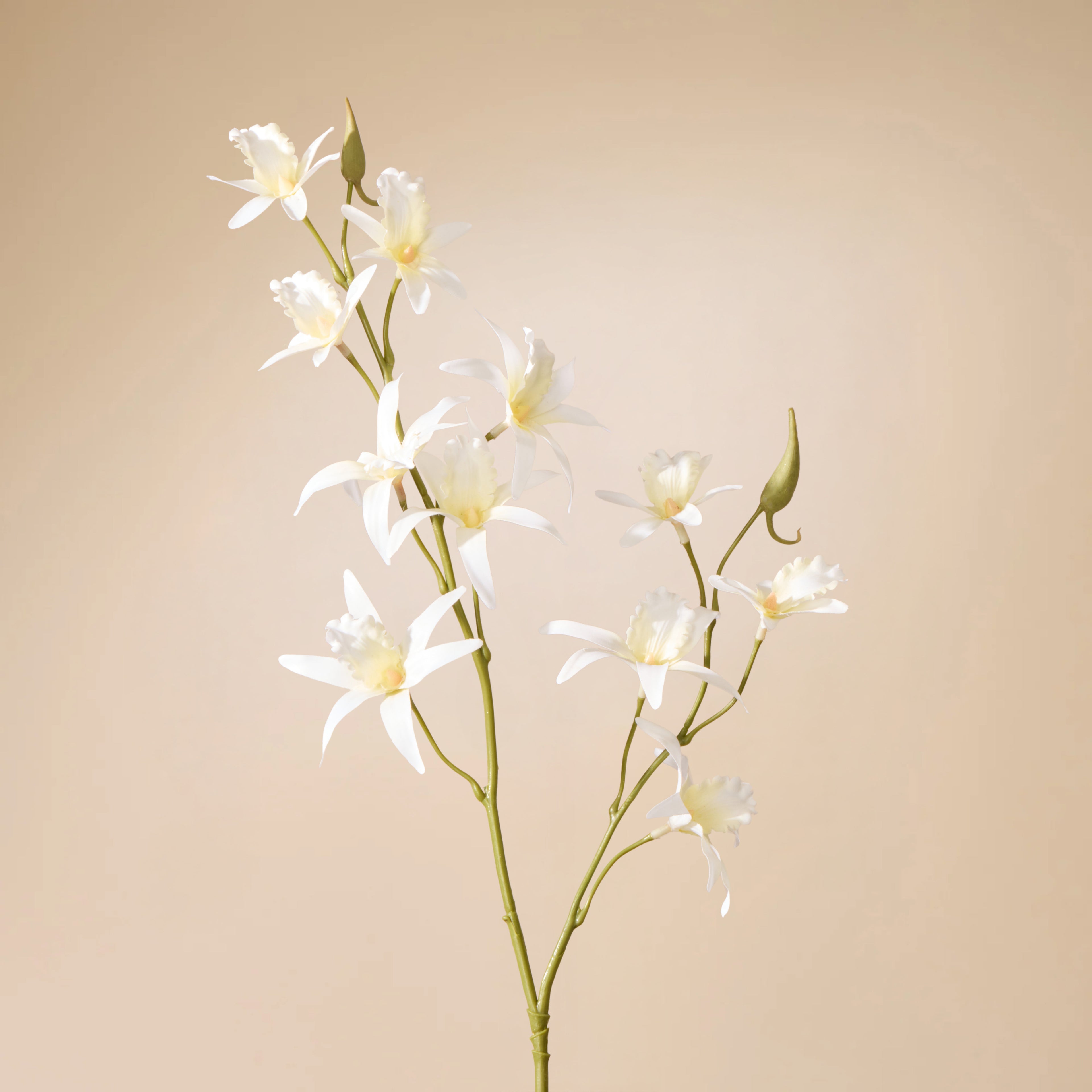 Faux Dendrobium Spray | White - 92cm