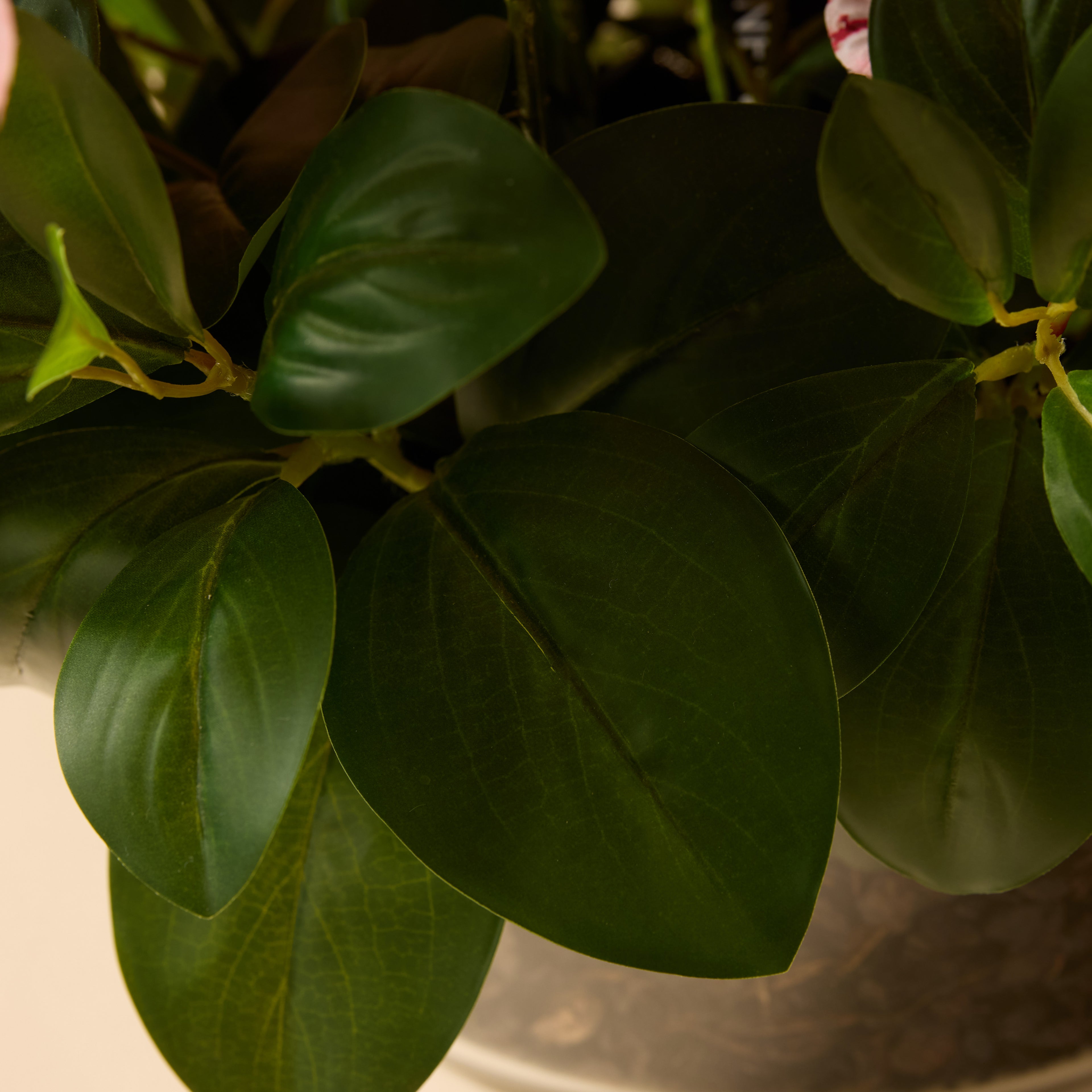 Faux Dancing Orchids - Madelyn Bowl | Burgundy - 67cm