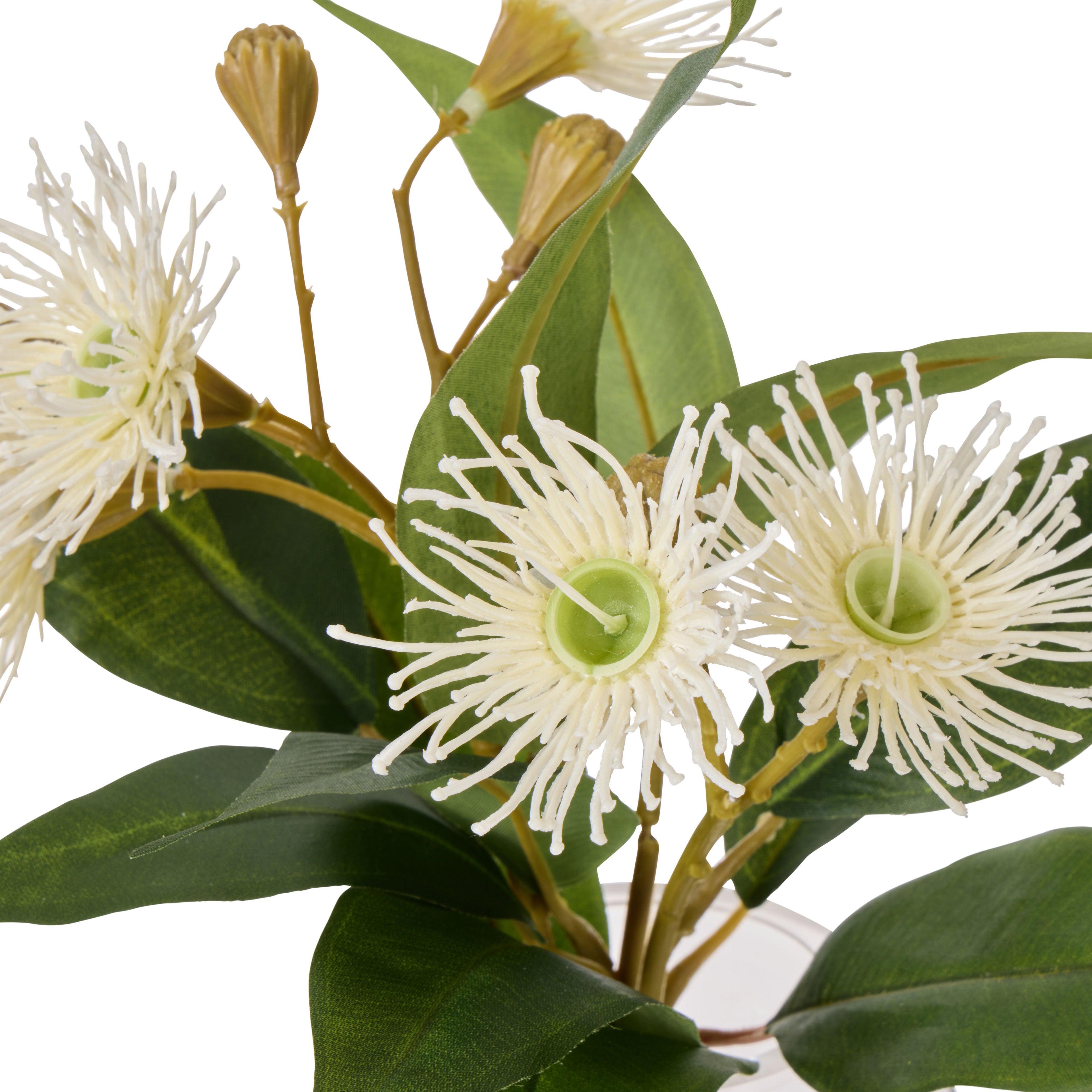 Faux Flowering Eucalyptus - Phoebe Vase | White - 21cm