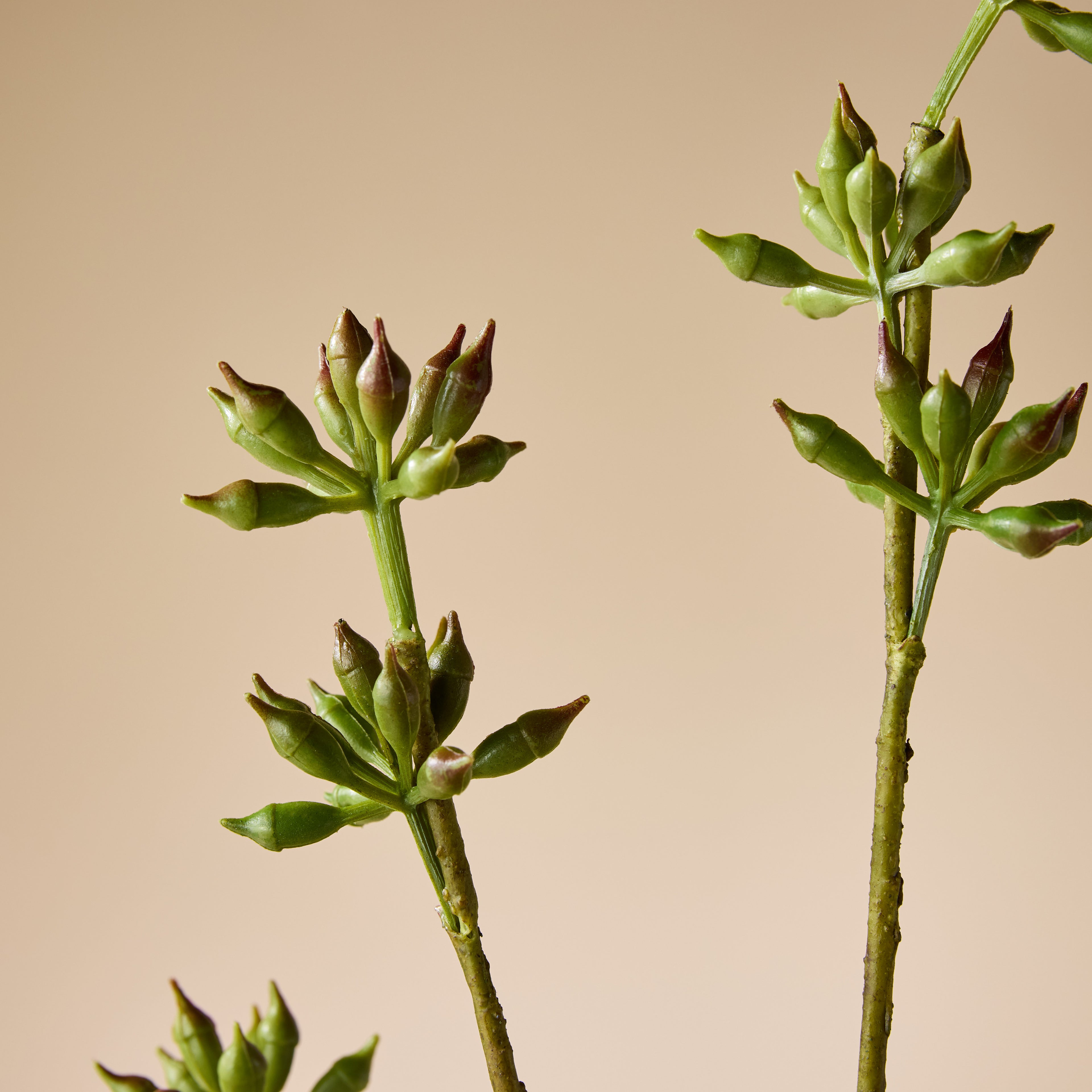 Faux Eucalyptus Seeding Spray | Green - 84cm