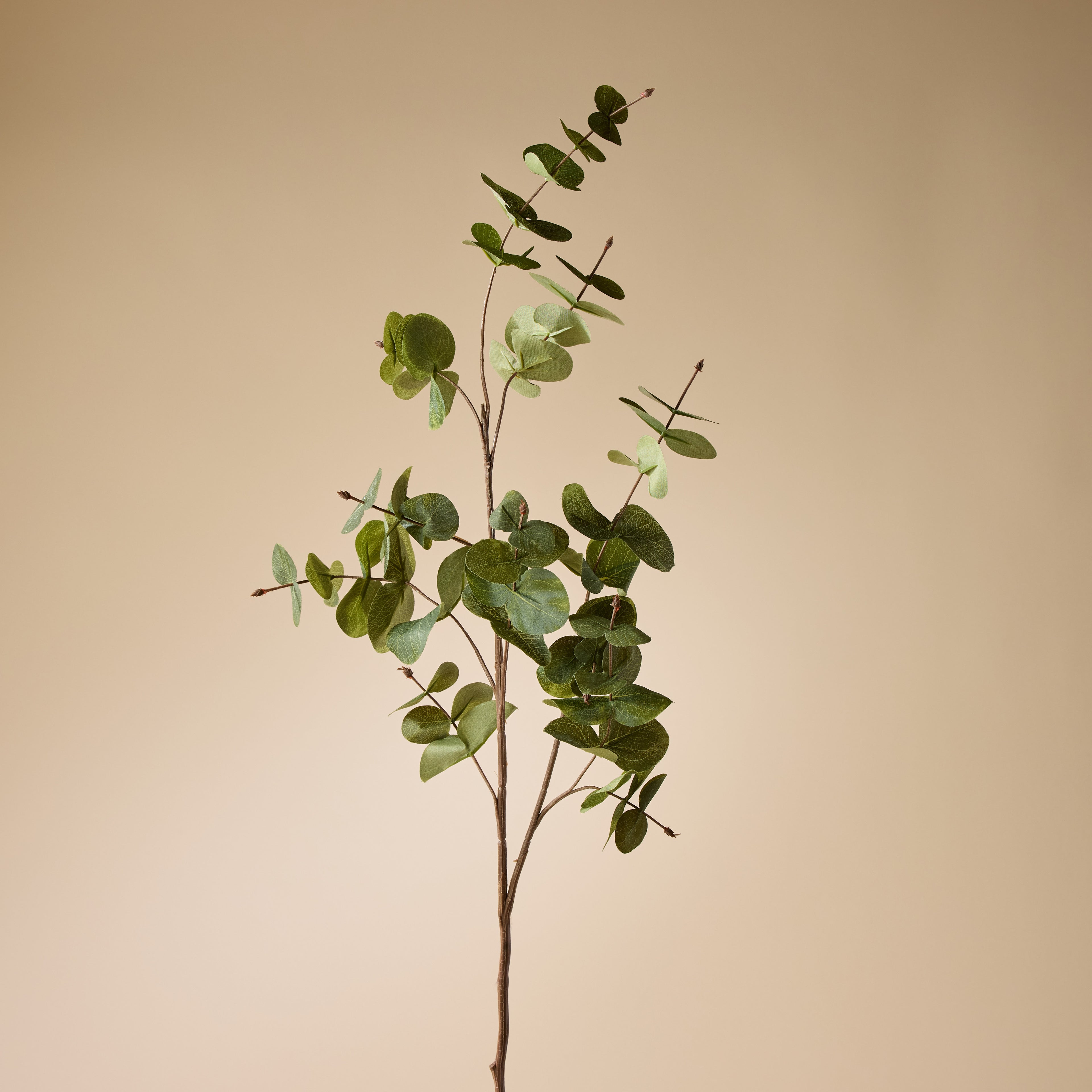 Faux Silver Drop Eucalyptus Spray | Green - 90cm