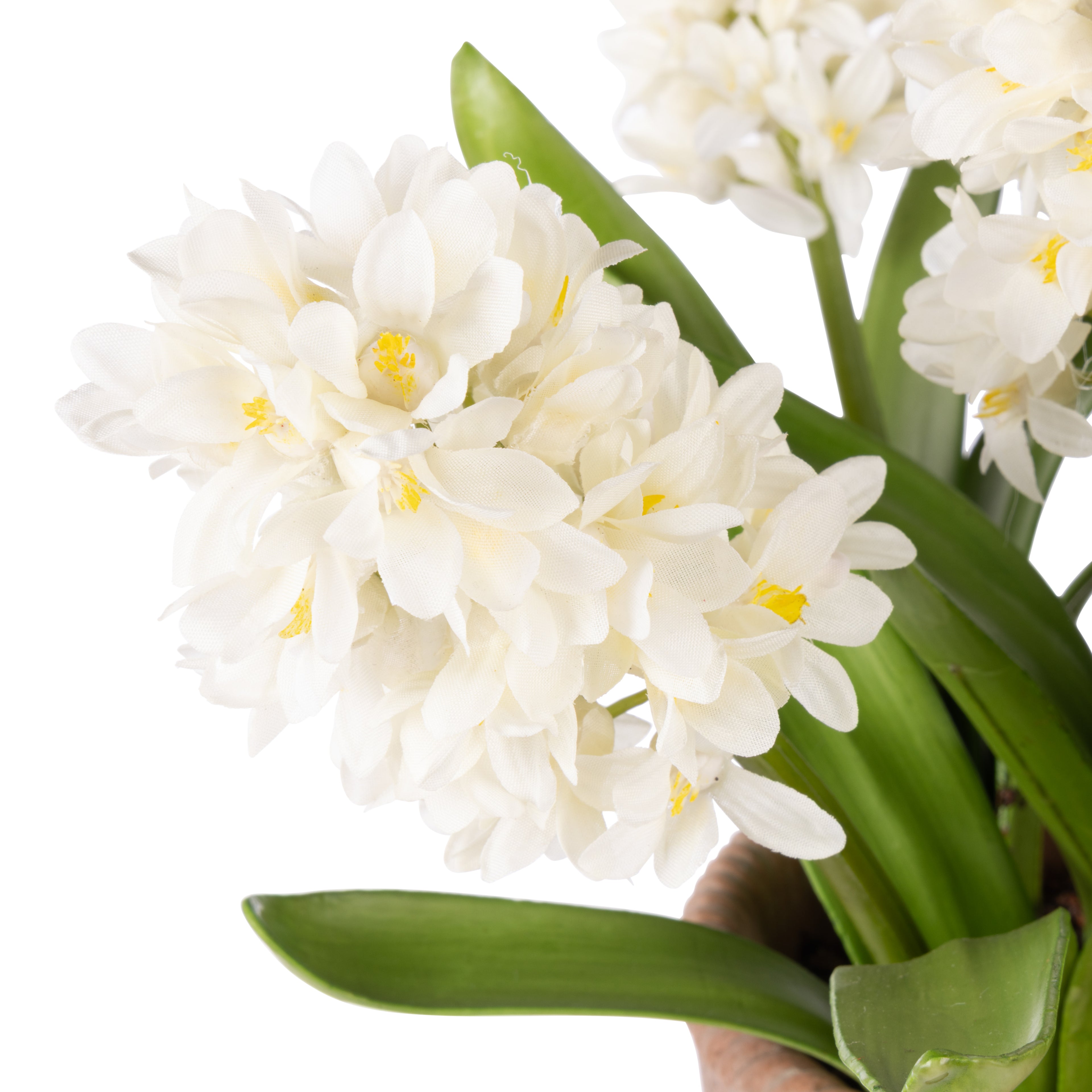 Faux Hyacinth Plant – Chinon Pot | 47cm