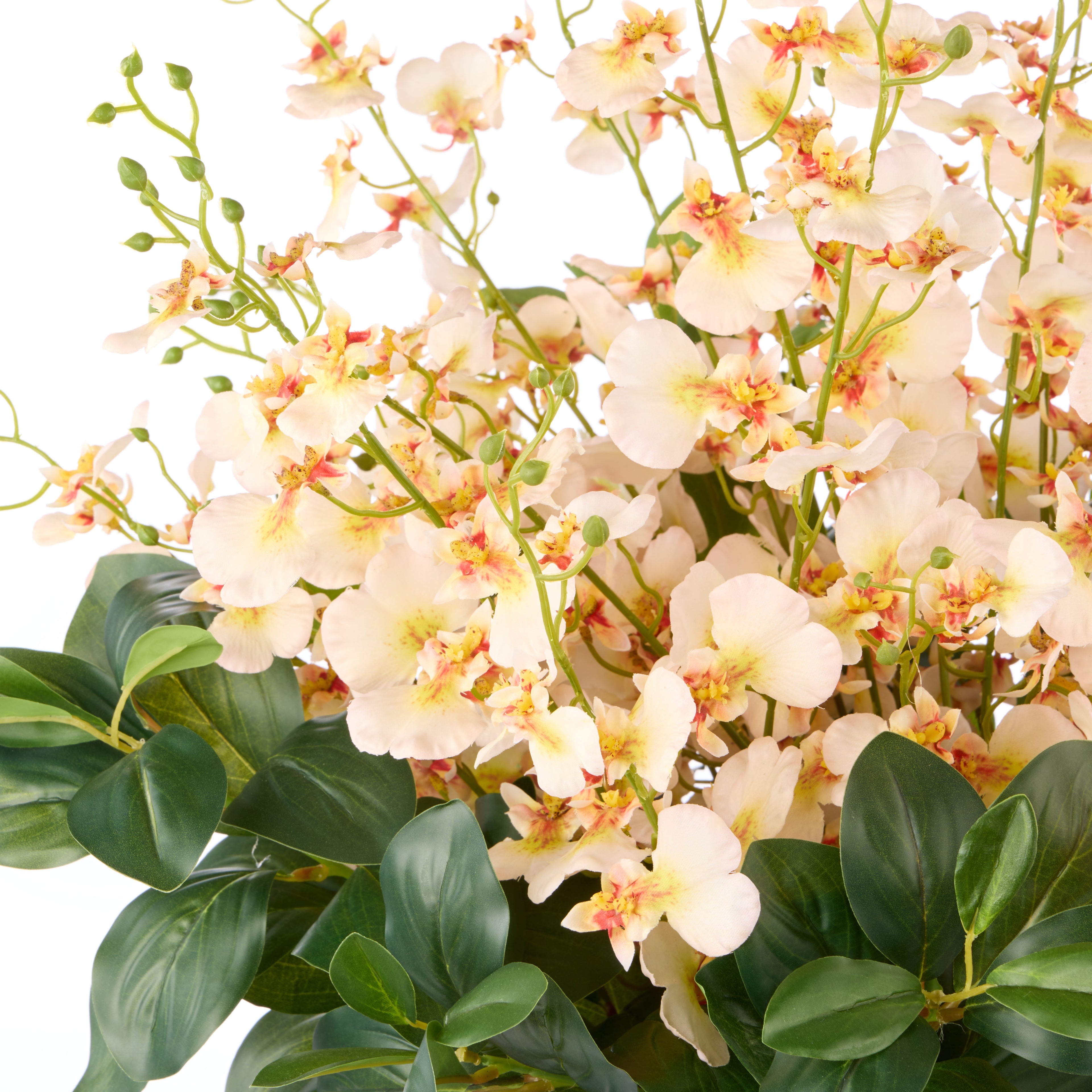 Faux Dancing Orchids - Madelyn Bowl | Cream - 58cm
