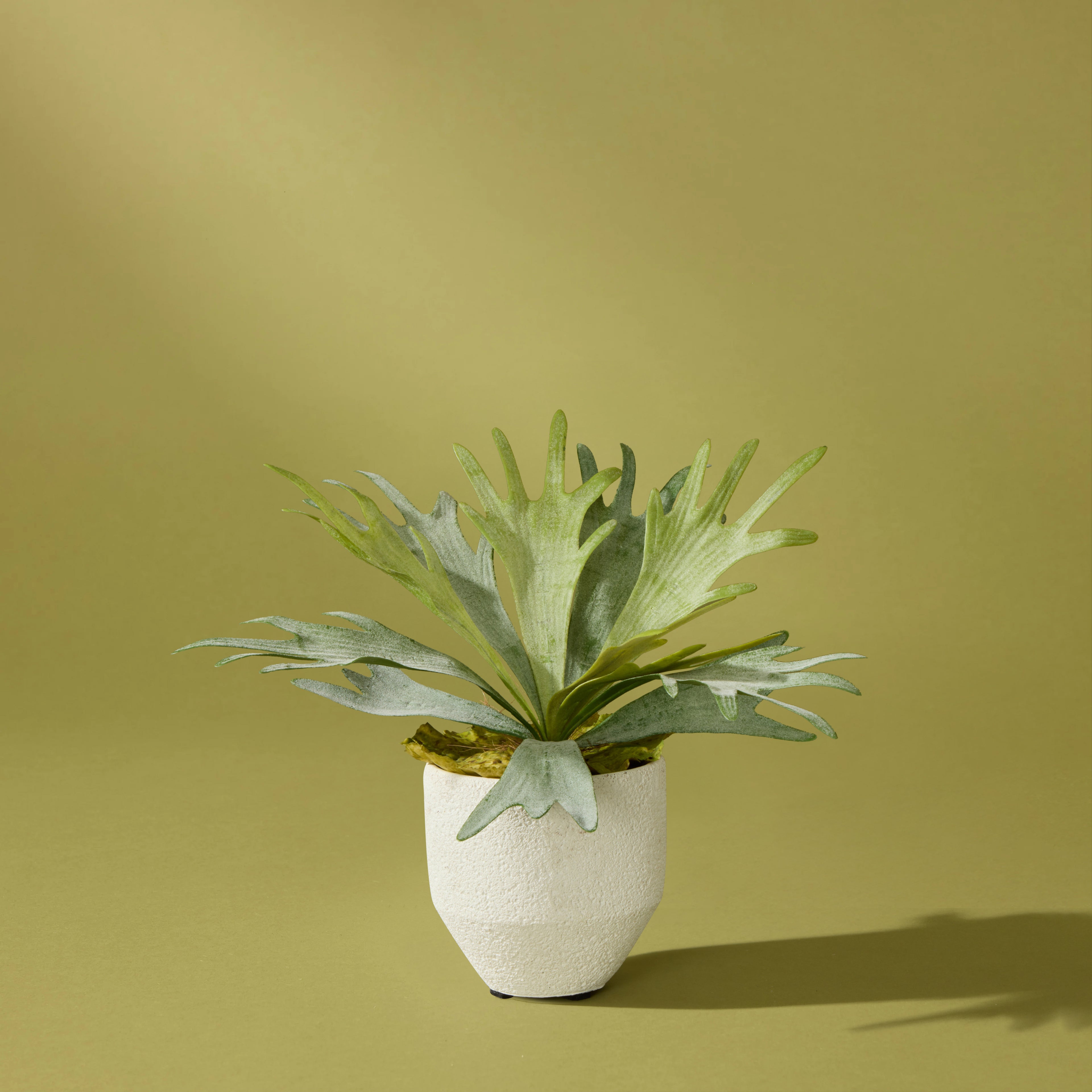 Faux Staghorn - Delos Planter | Green - 34cm