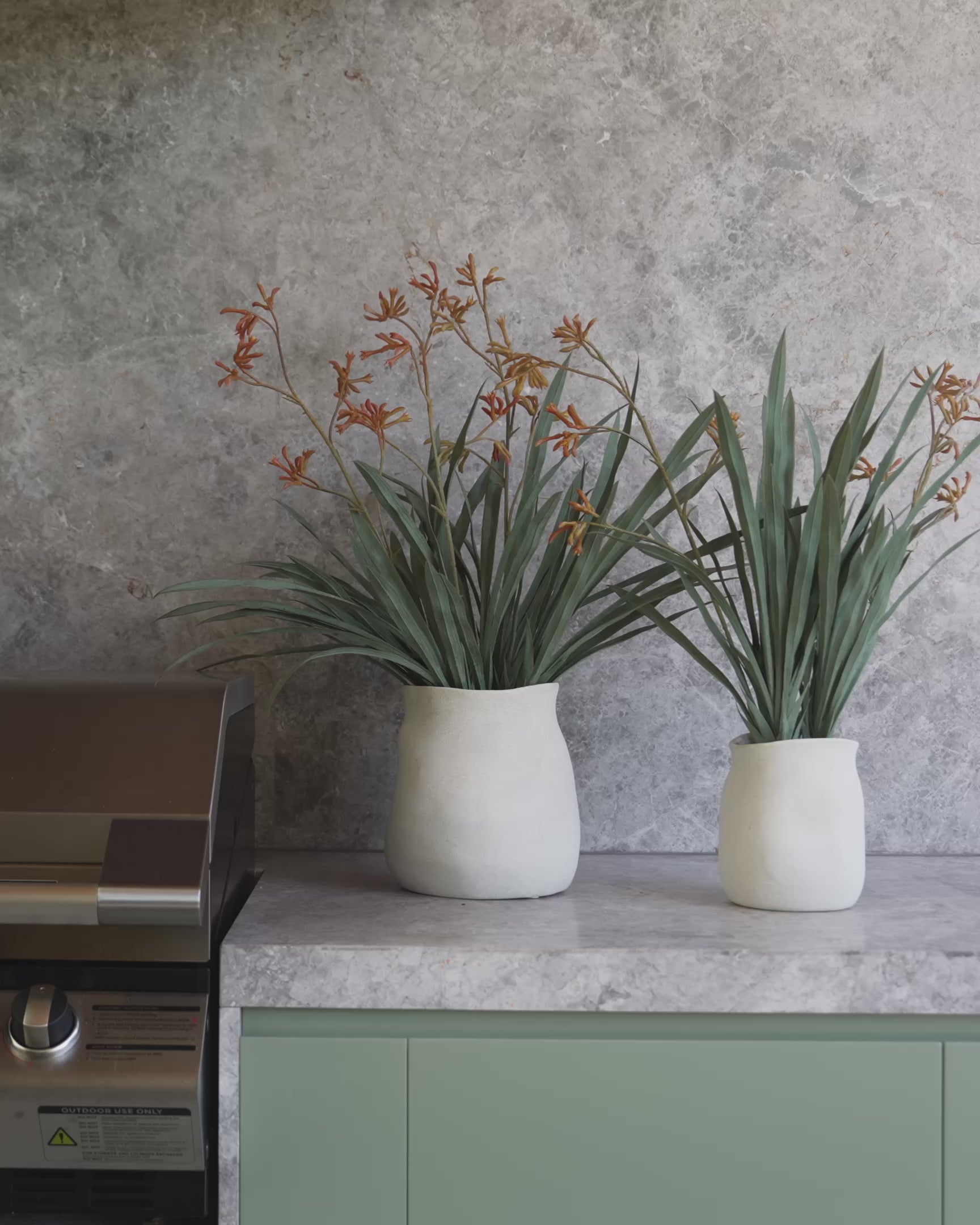Faux Kangaroo Paw - Maliah Pot | Cream - 78cm