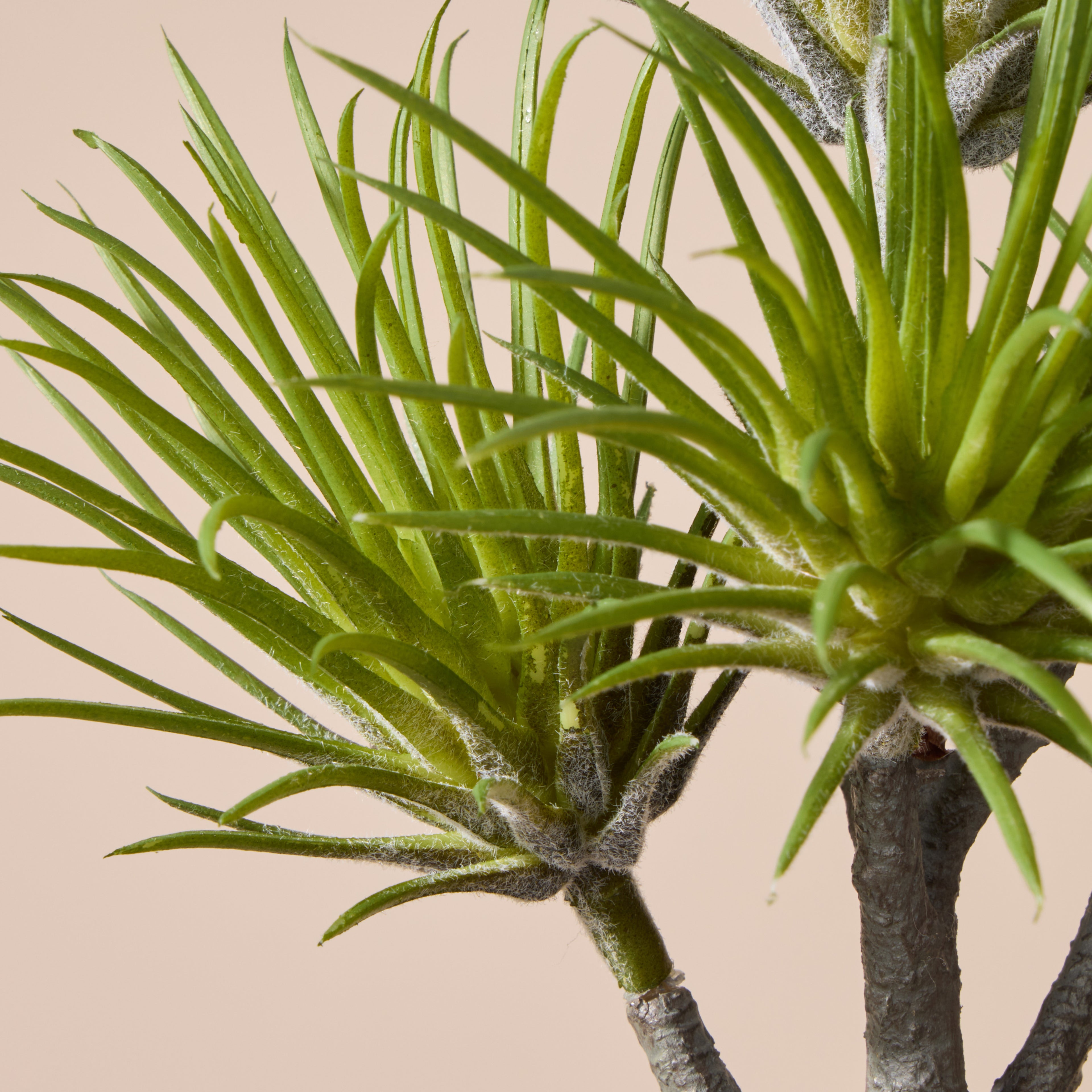 Faux Air Plant Spray | Green - 22cm