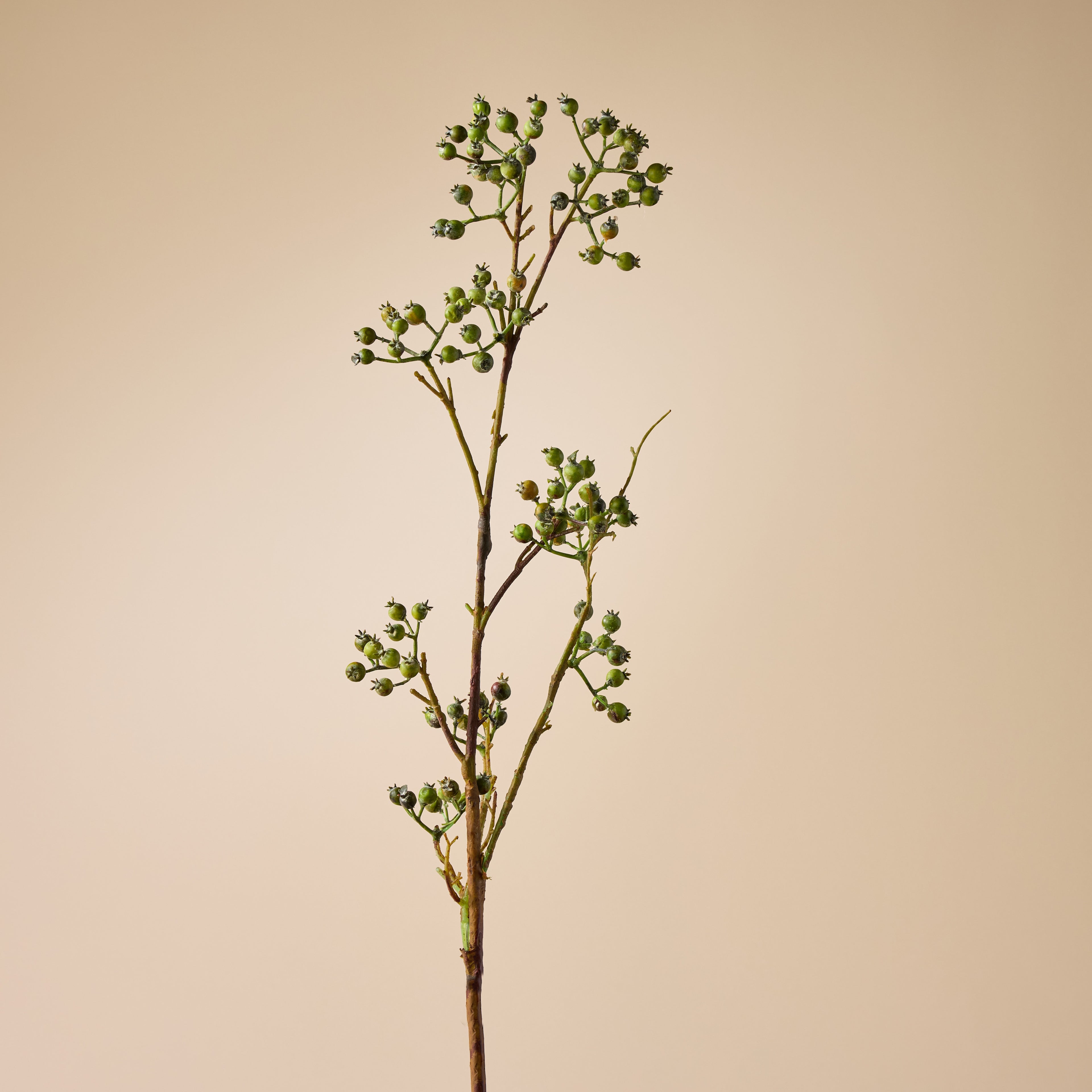 Faux Green Berries Spray | Green - 64cm