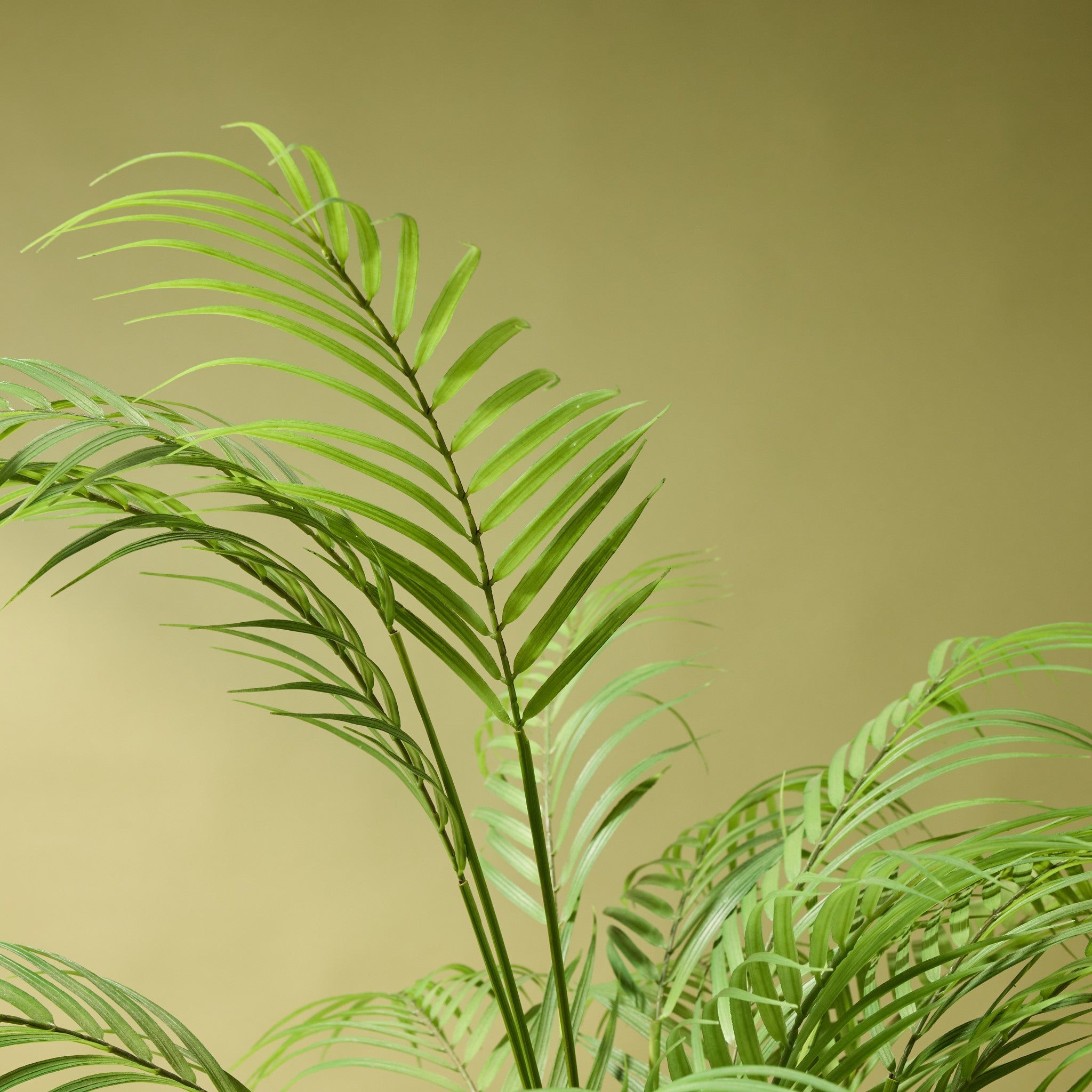 Faux Phoenix Palm - Lyon Organic Planter | White - 110cm