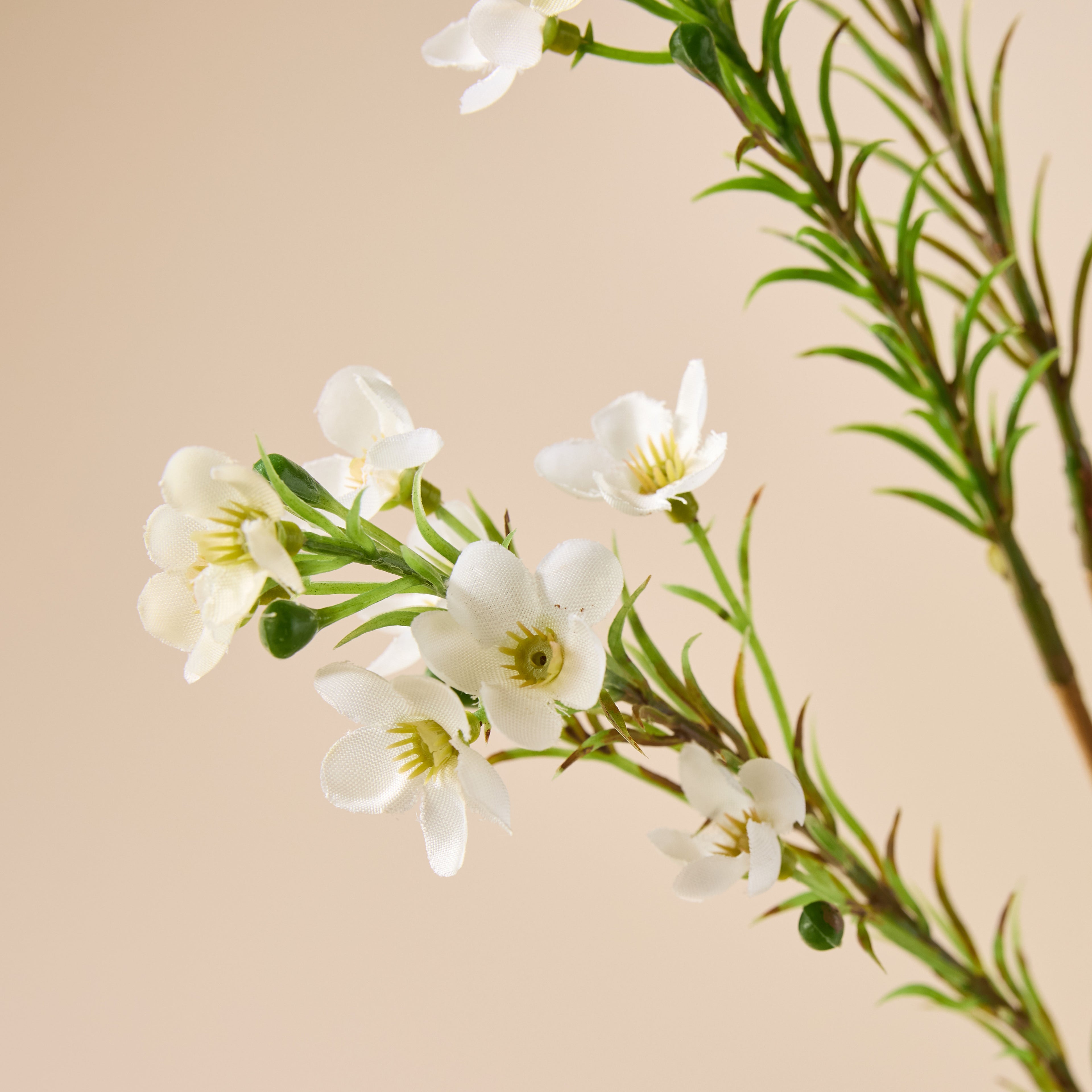 Faux Wax Flower Spray | White - 65cm