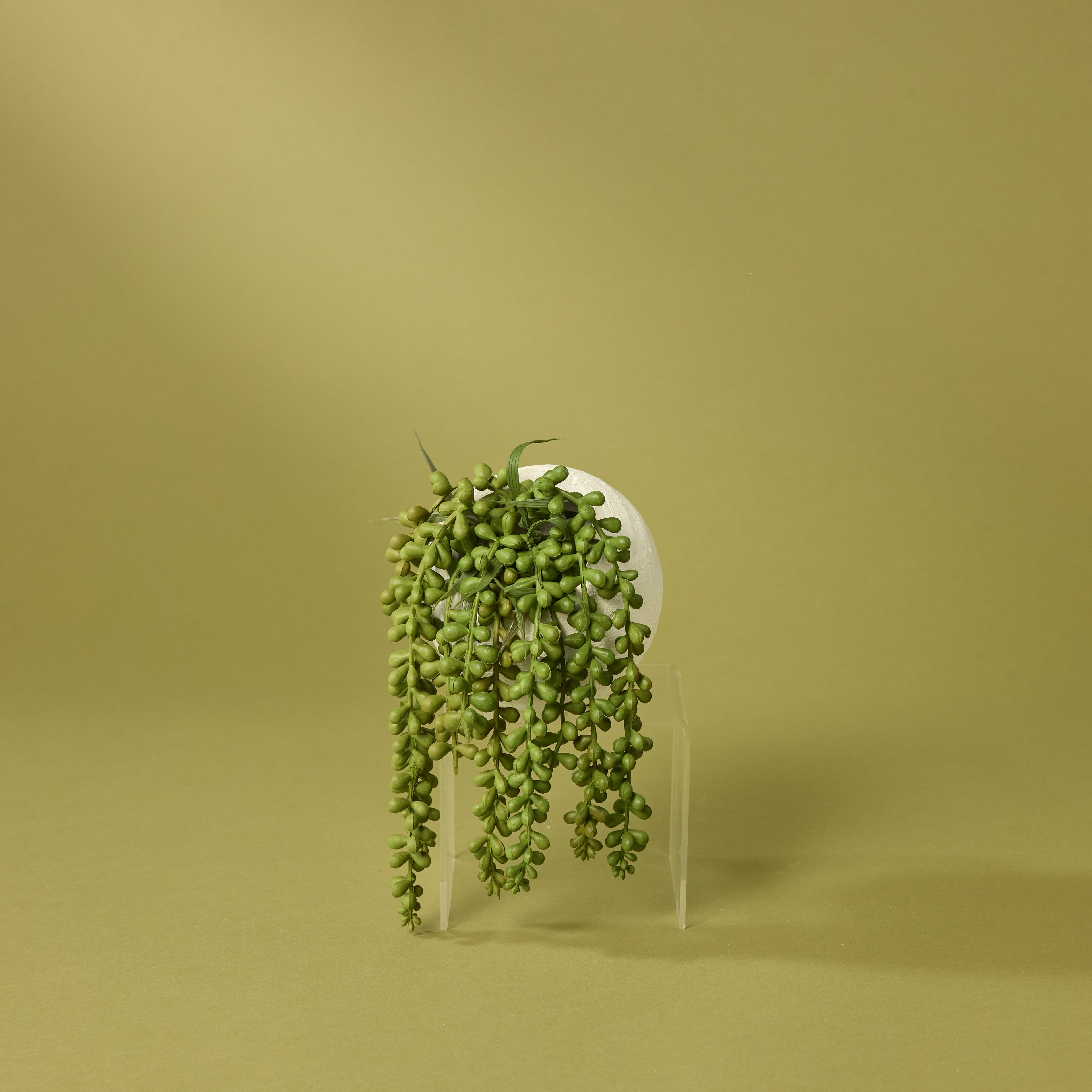 Faux String of Pearls - Ithaca Round Pot | White - 27cm