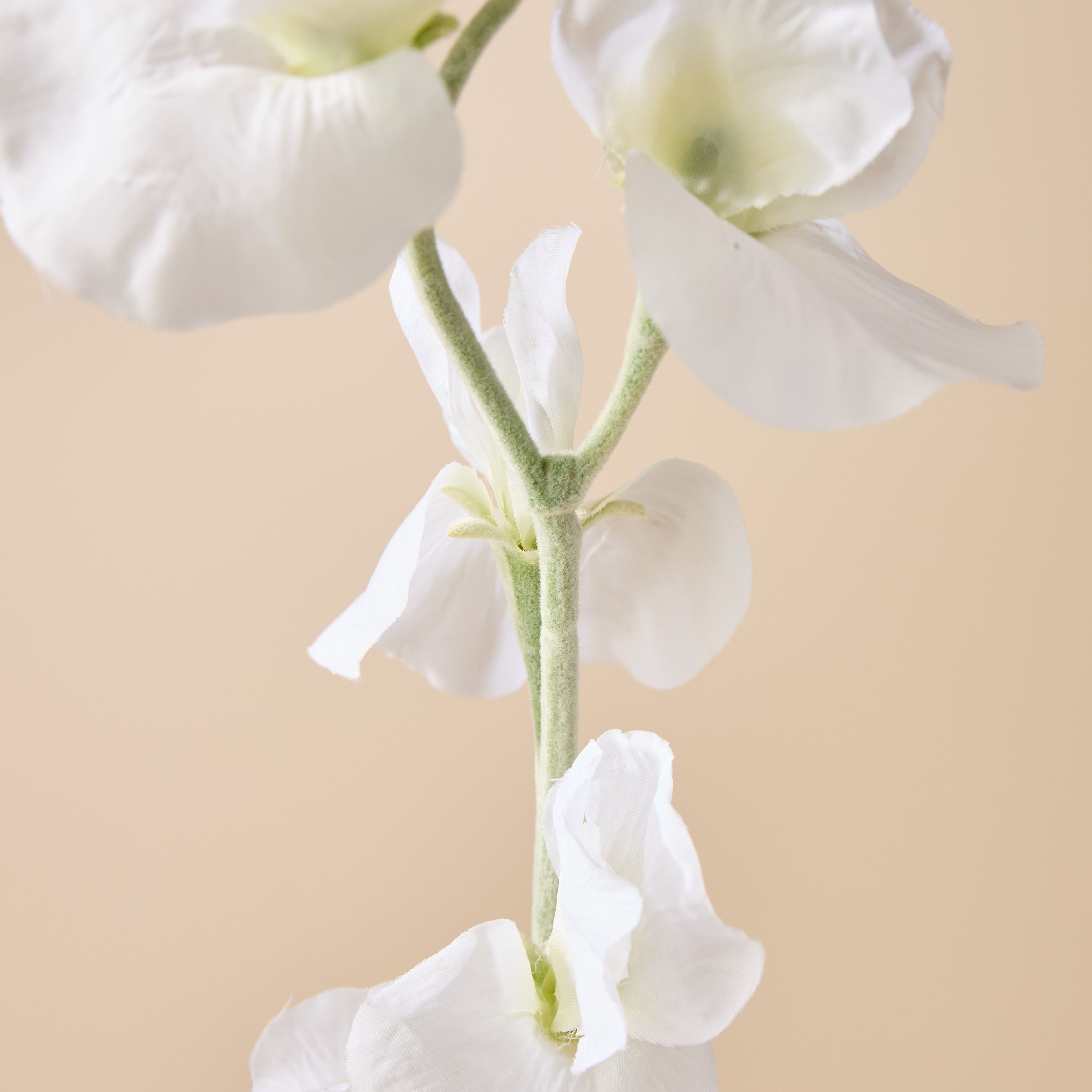 Faux Sweet Pea Spray | Cream - 64cm