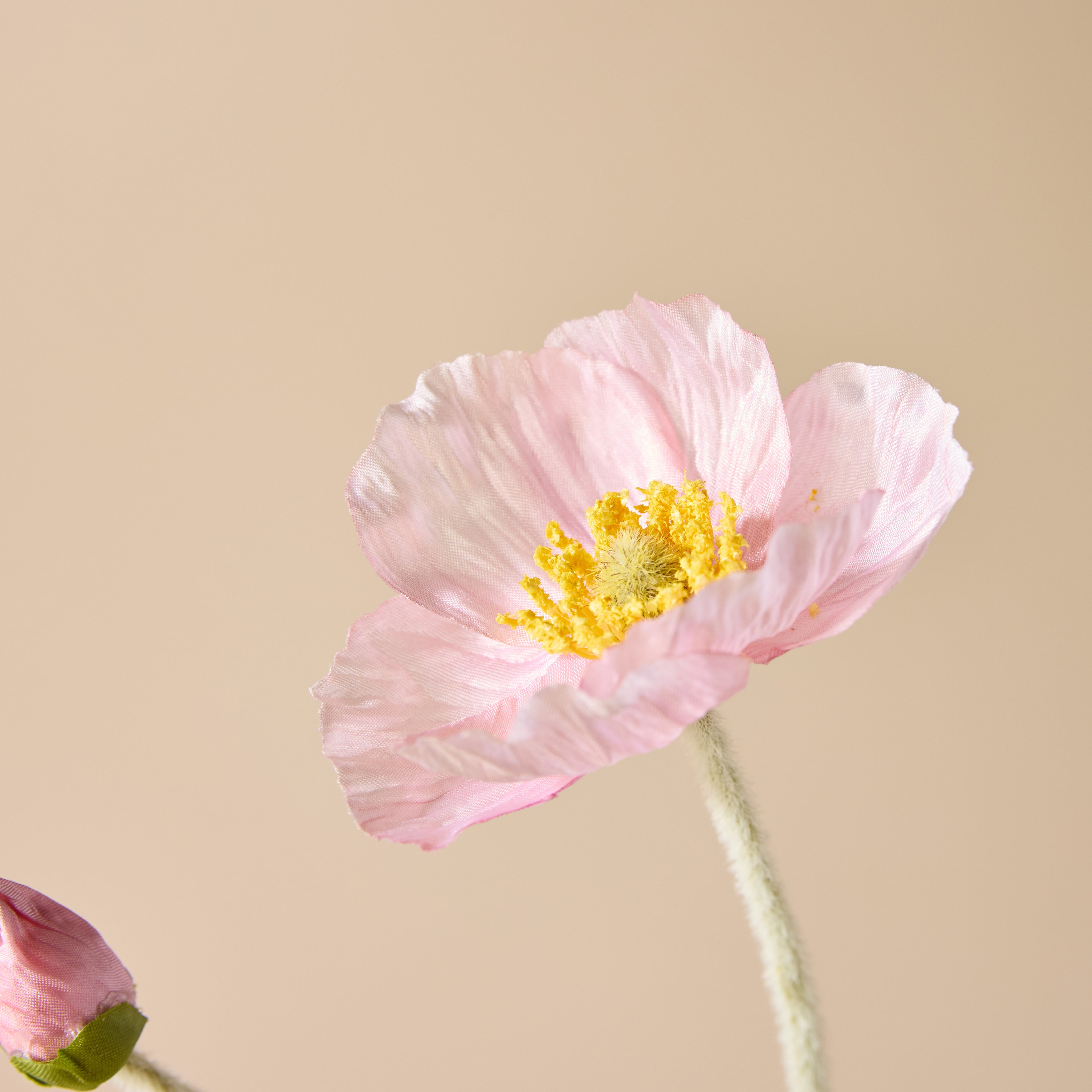 Faux Poppy Spray | Blush Pink - 60cm