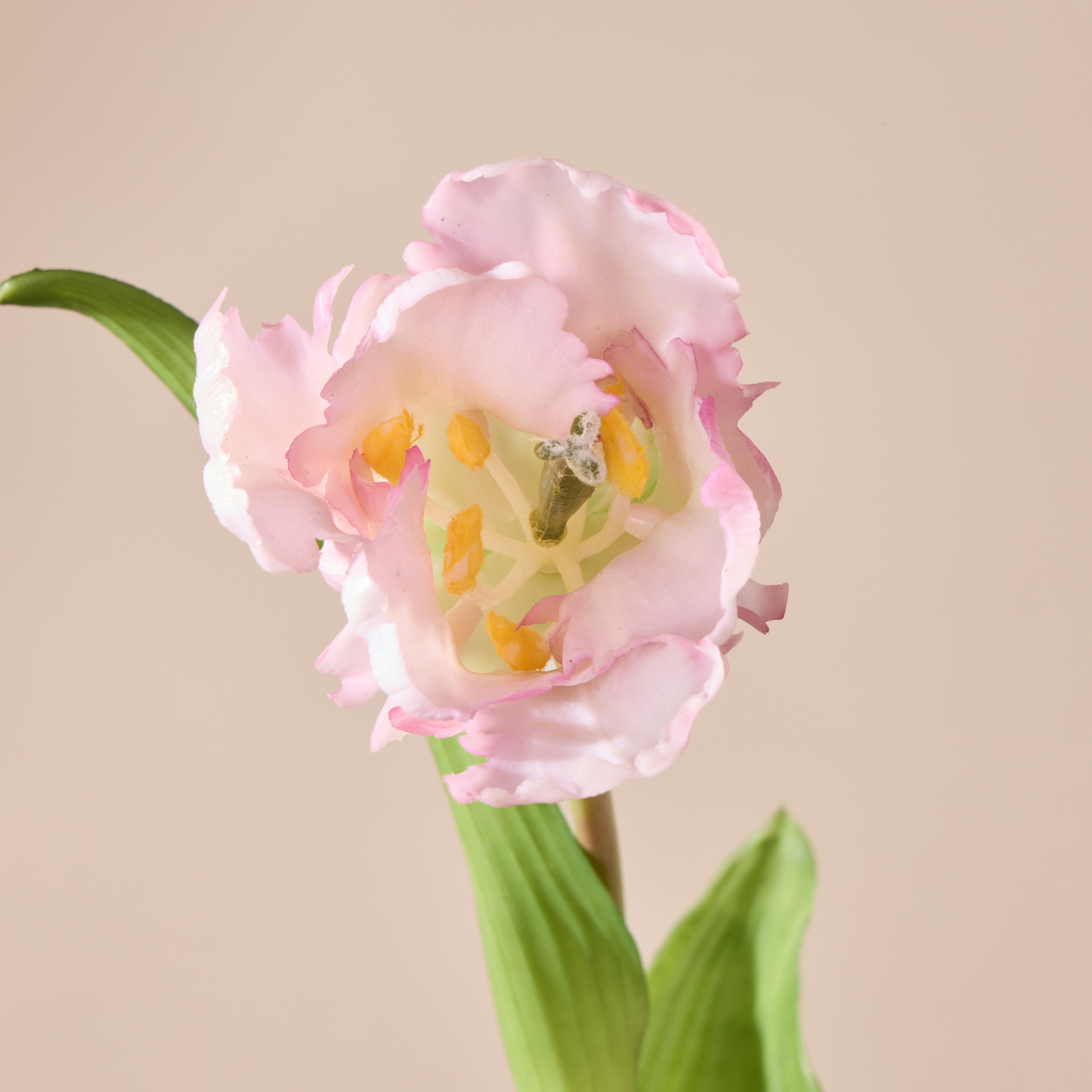 Faux Parrot Tulip Stem | Pink - 48cm
