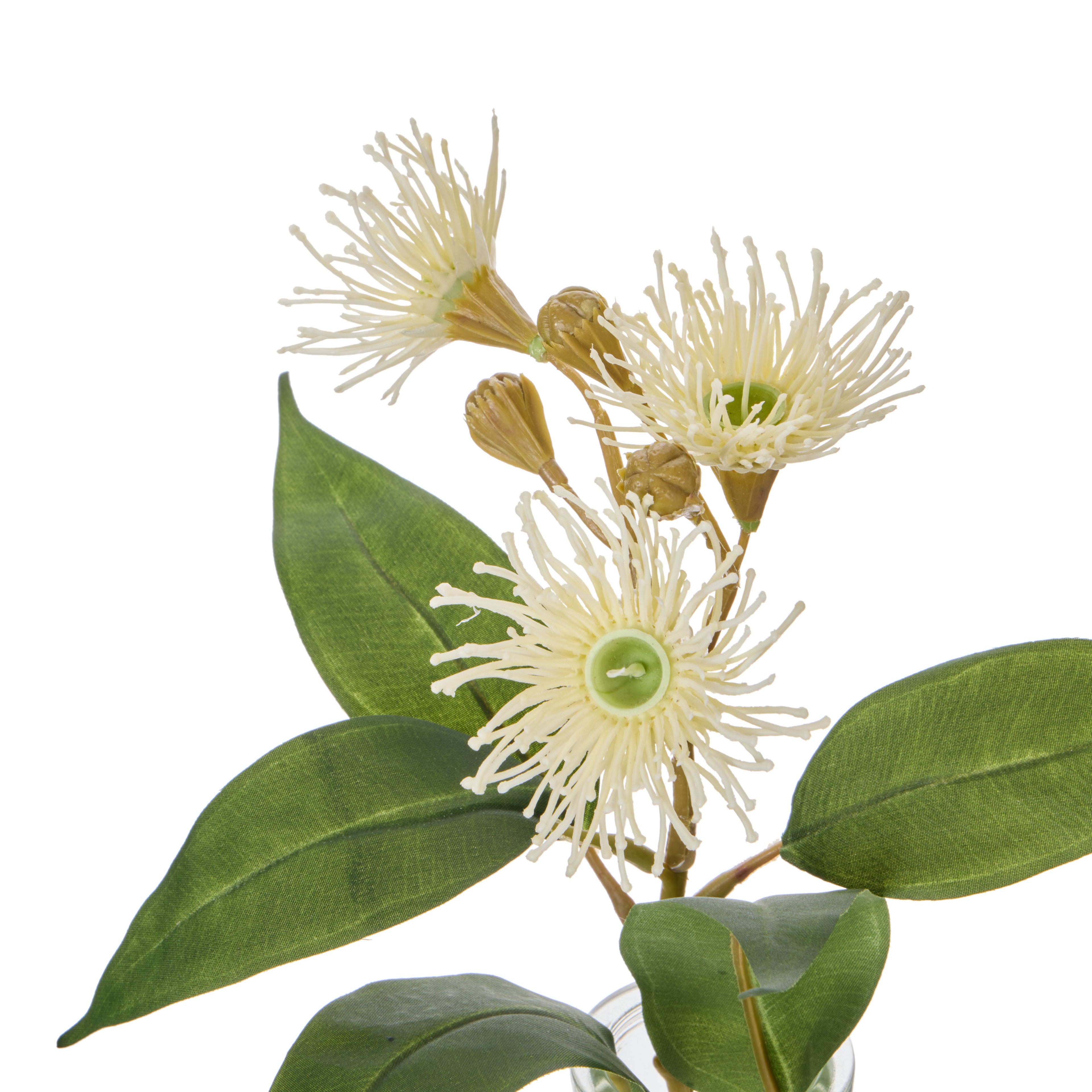 Faux Flowering Eucalyptus - Specimen Bottle | White - 29cm