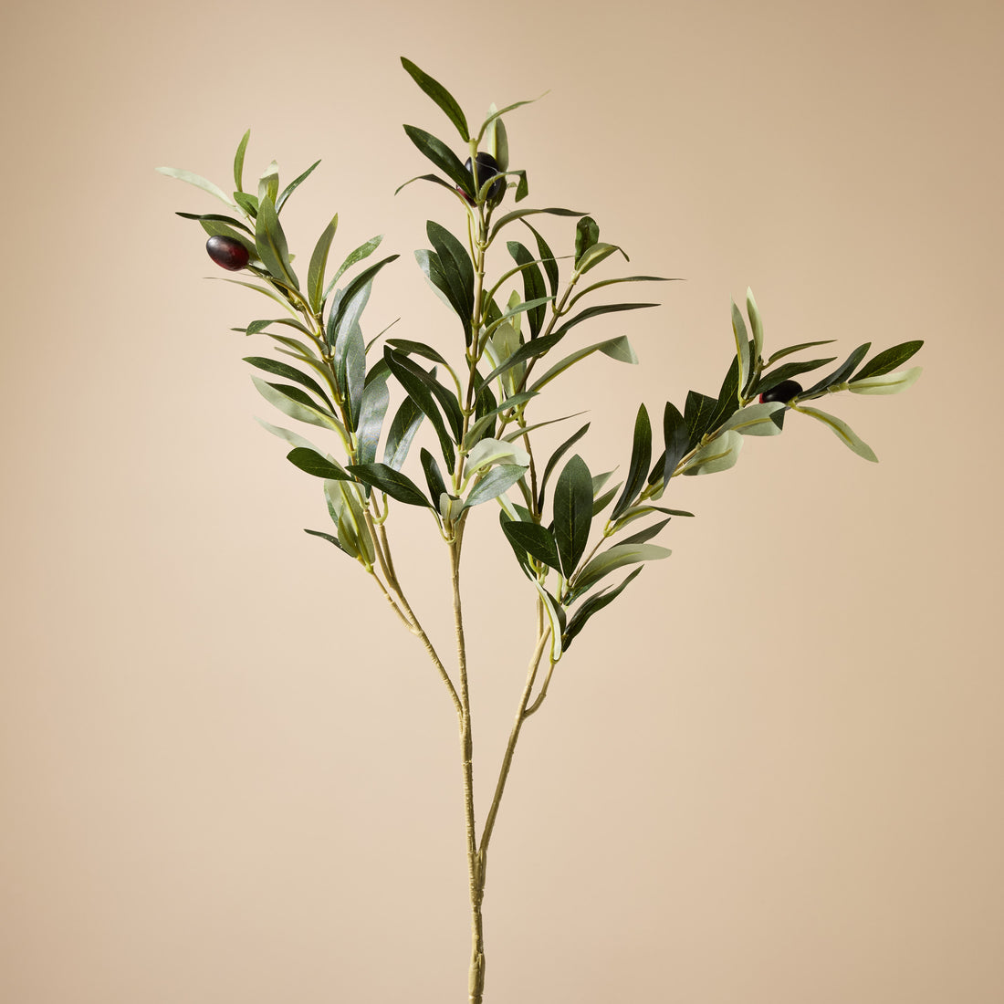 Faux Olive Spray | 72cm
