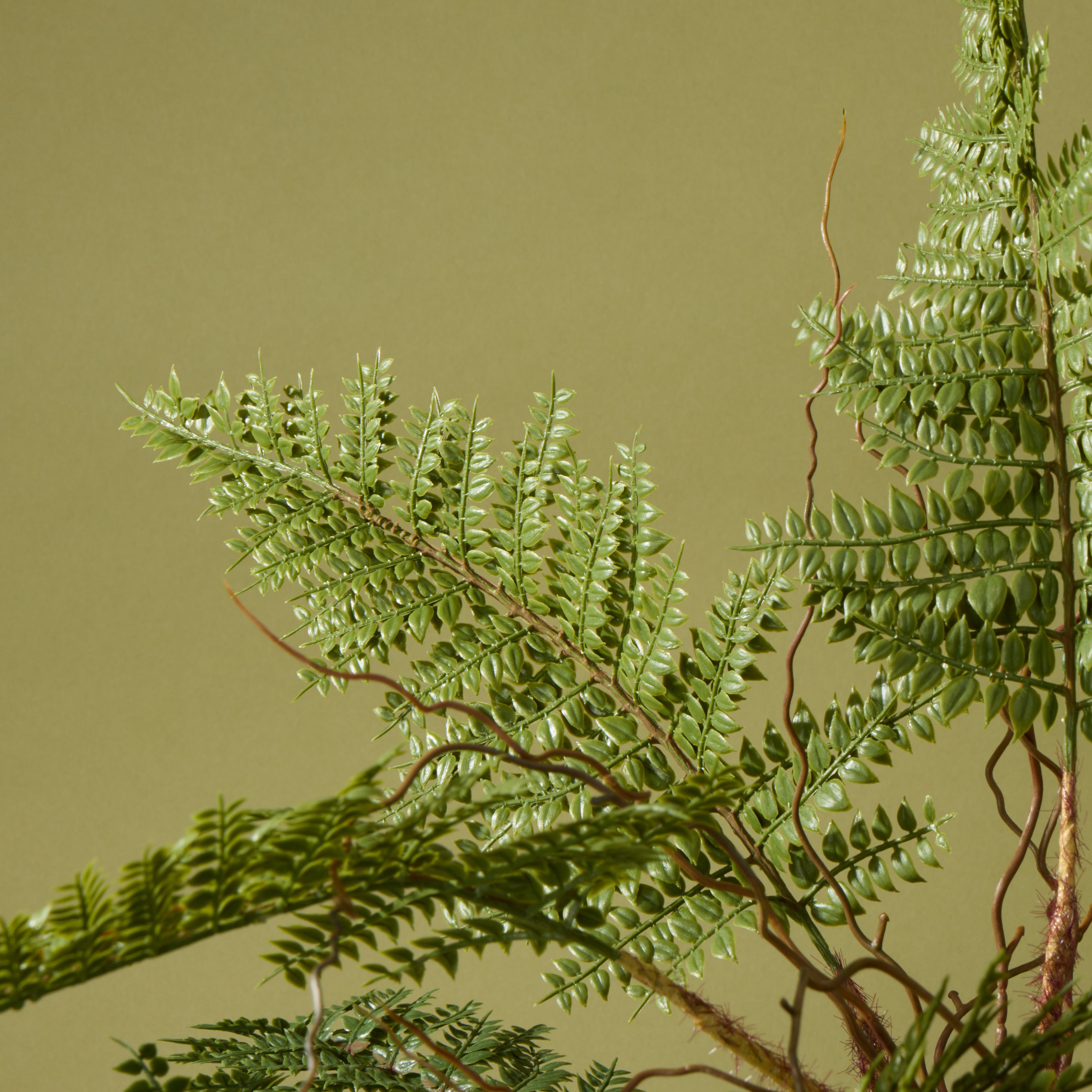 Faux Mountain Wood Fern Pot | White - 56cm