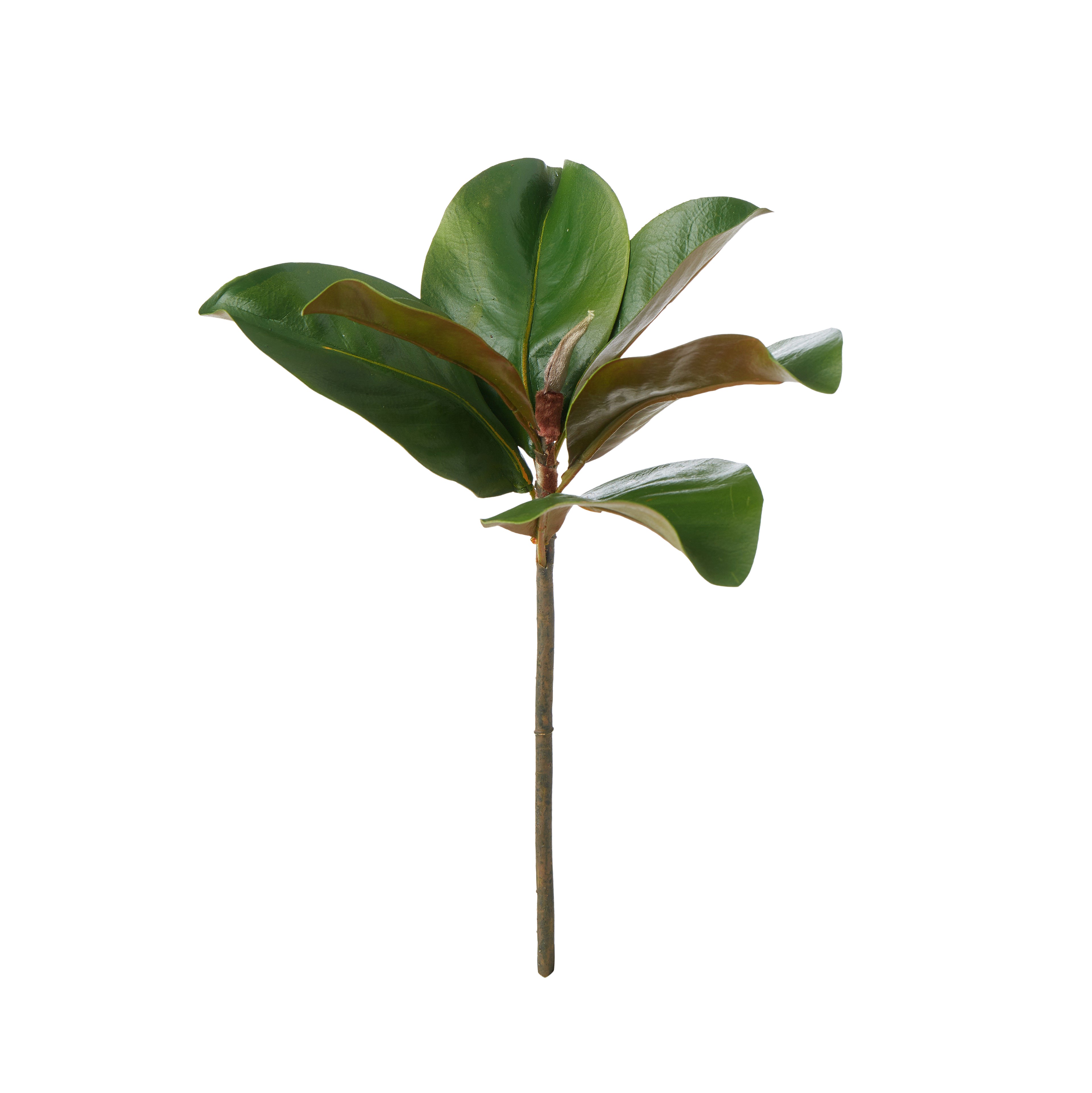 Faux Magnolia Pick | 35cm