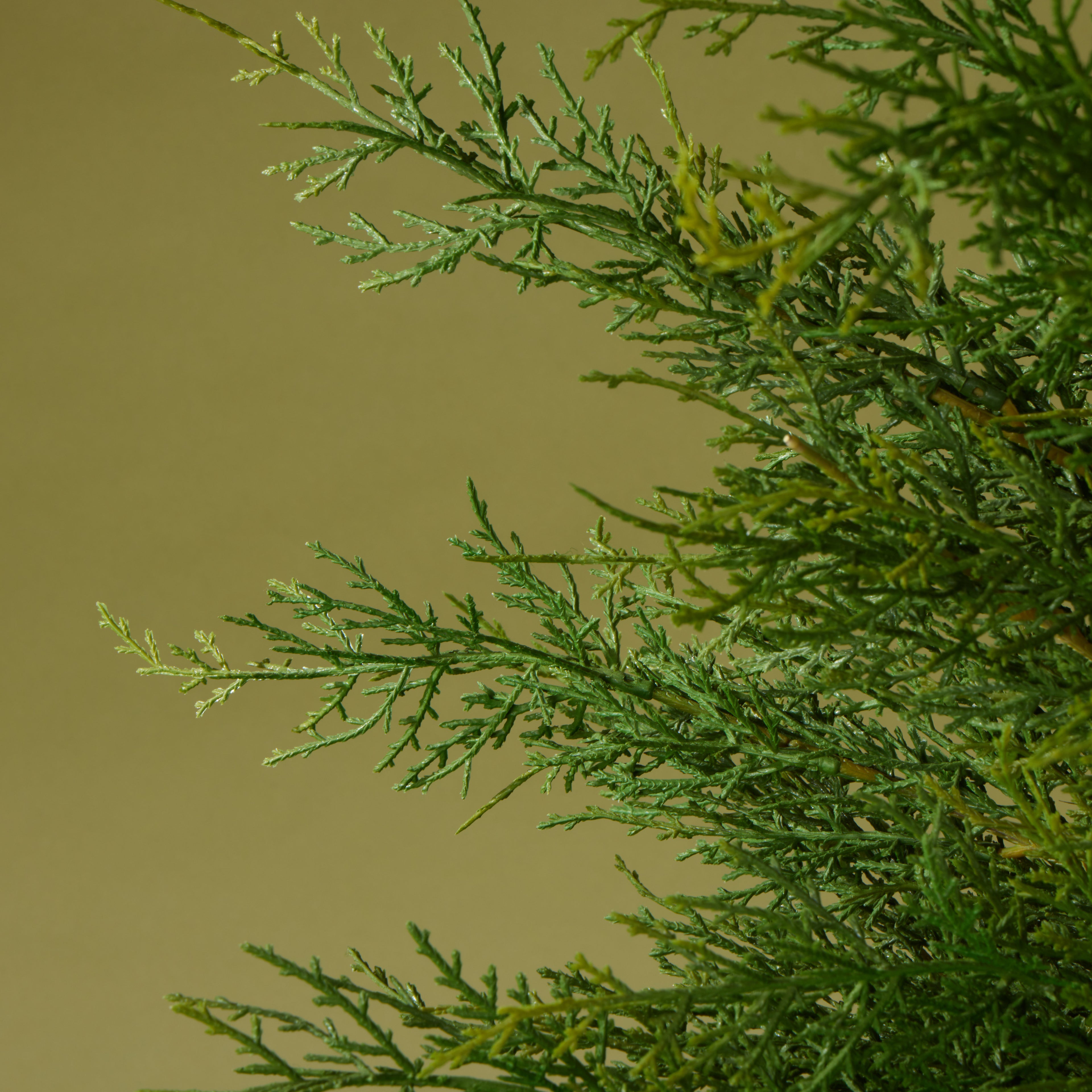 Faux Conifer Tree UV Treated - Vintage Urn | 175cm