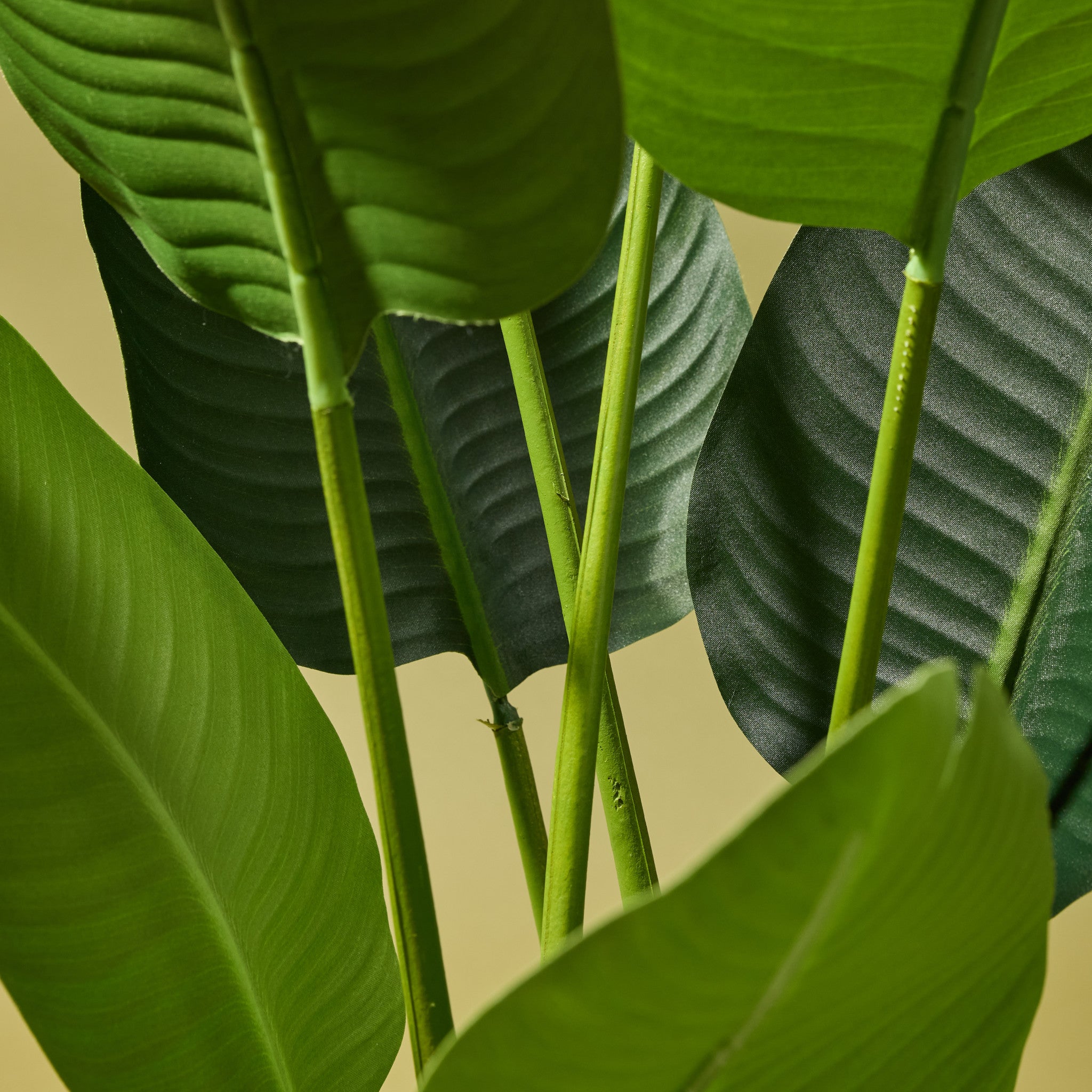 Faux Giant Bird of Paradise Plant | 122cm