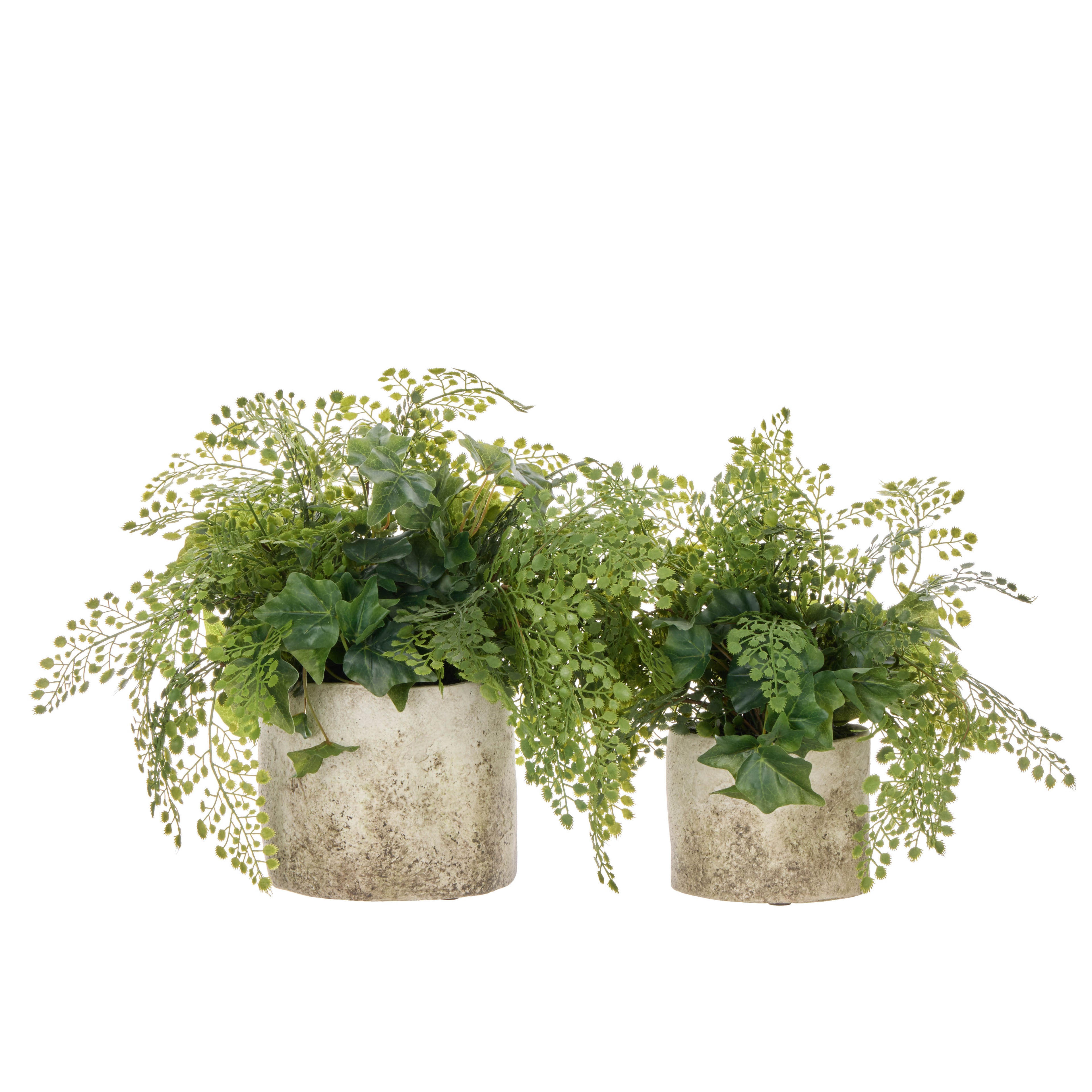 Faux Maiden Ivy - Edith Vase | Green - 30cm