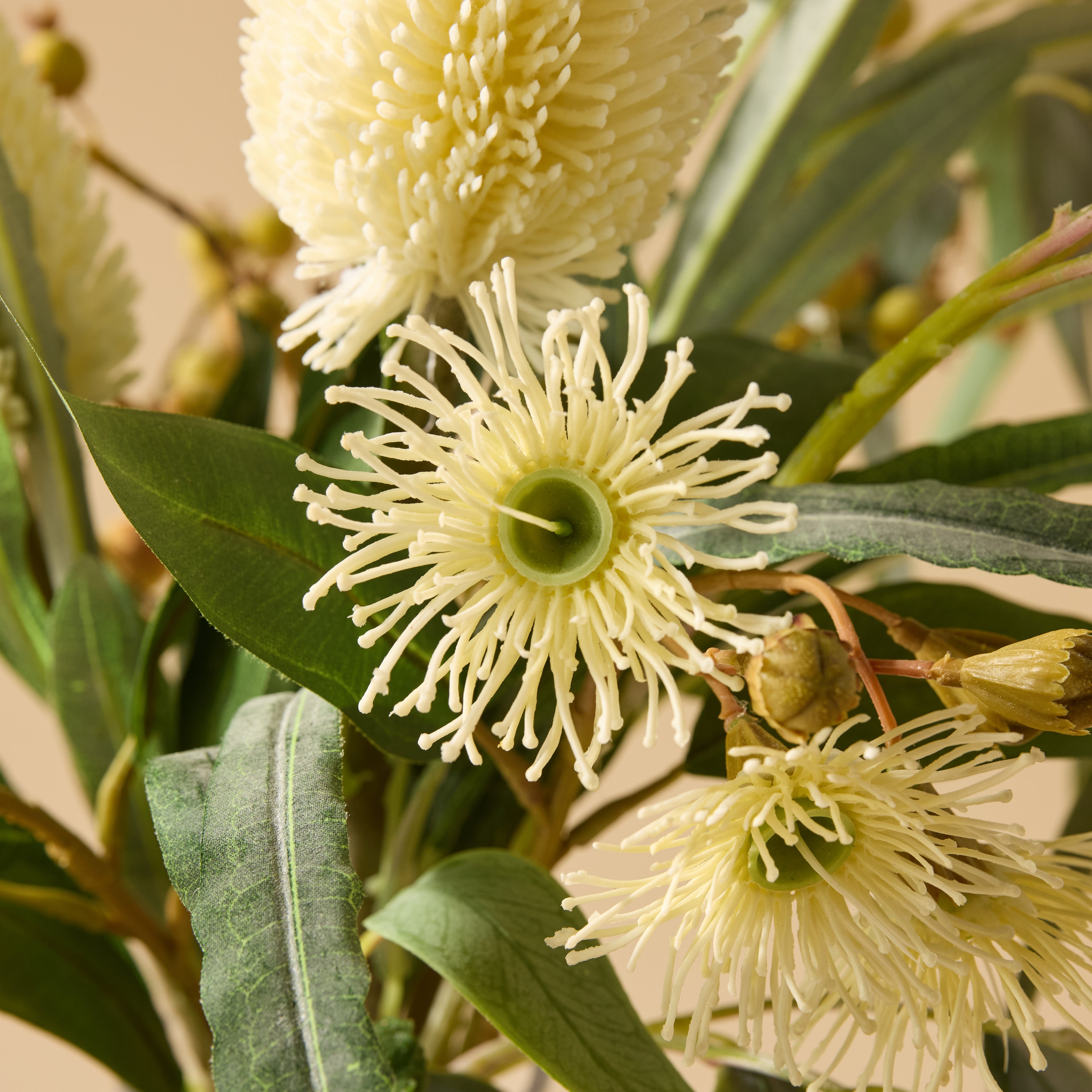 Faux Banksia Eucalyptus Arrangement - Rachel Vase | Cream - 85cm