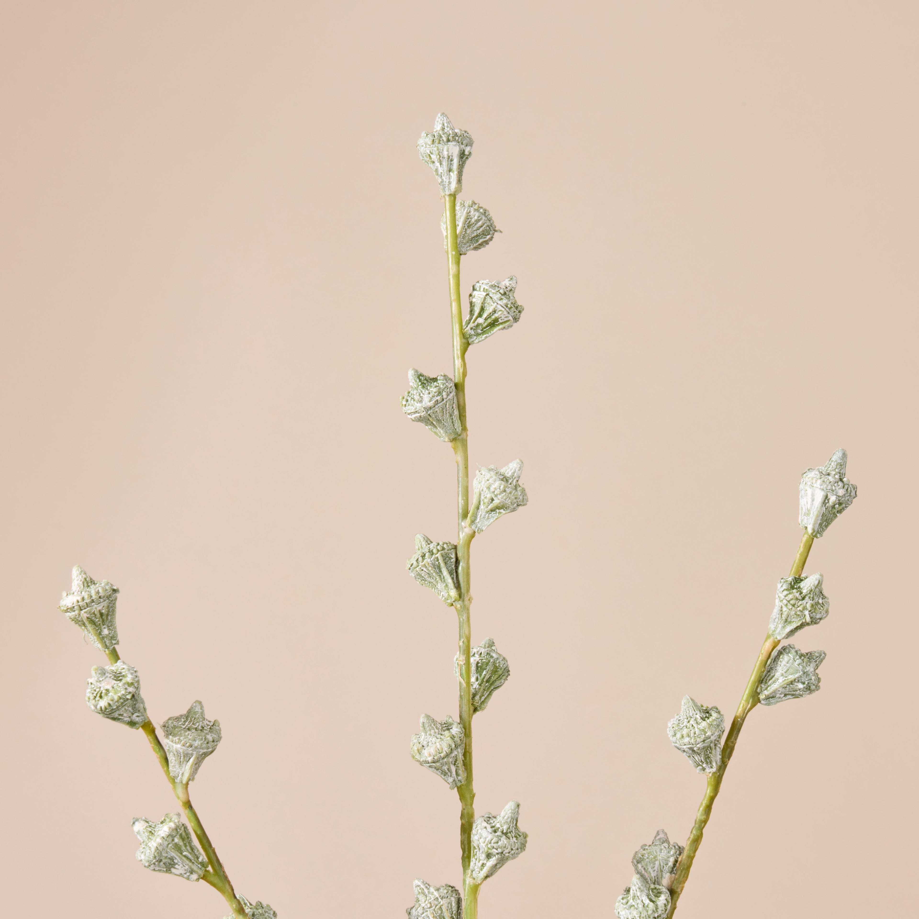 Faux Gumnut Spray | White - 62cm