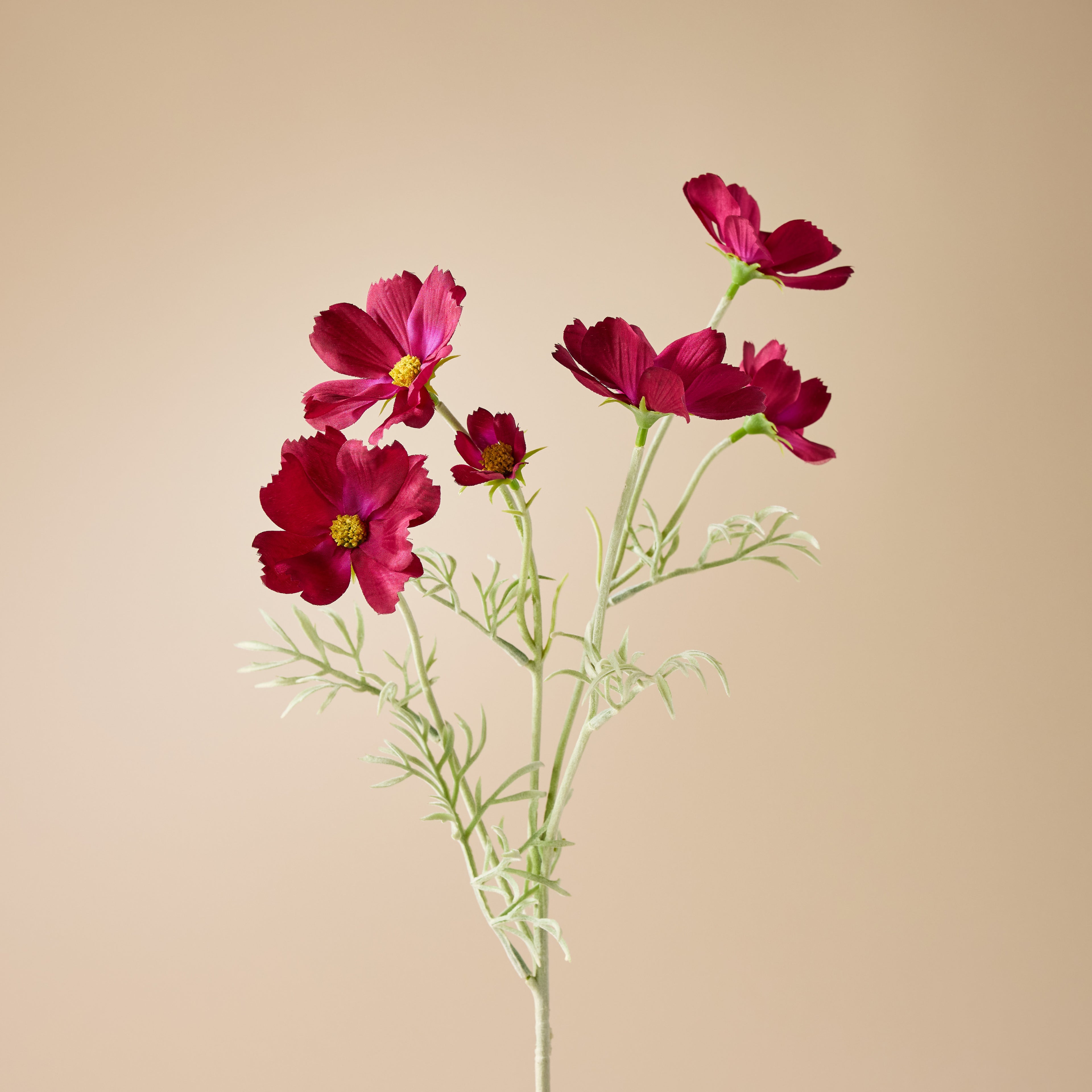 Faux Cosmos Flower Spray | Burgundy - 62cm