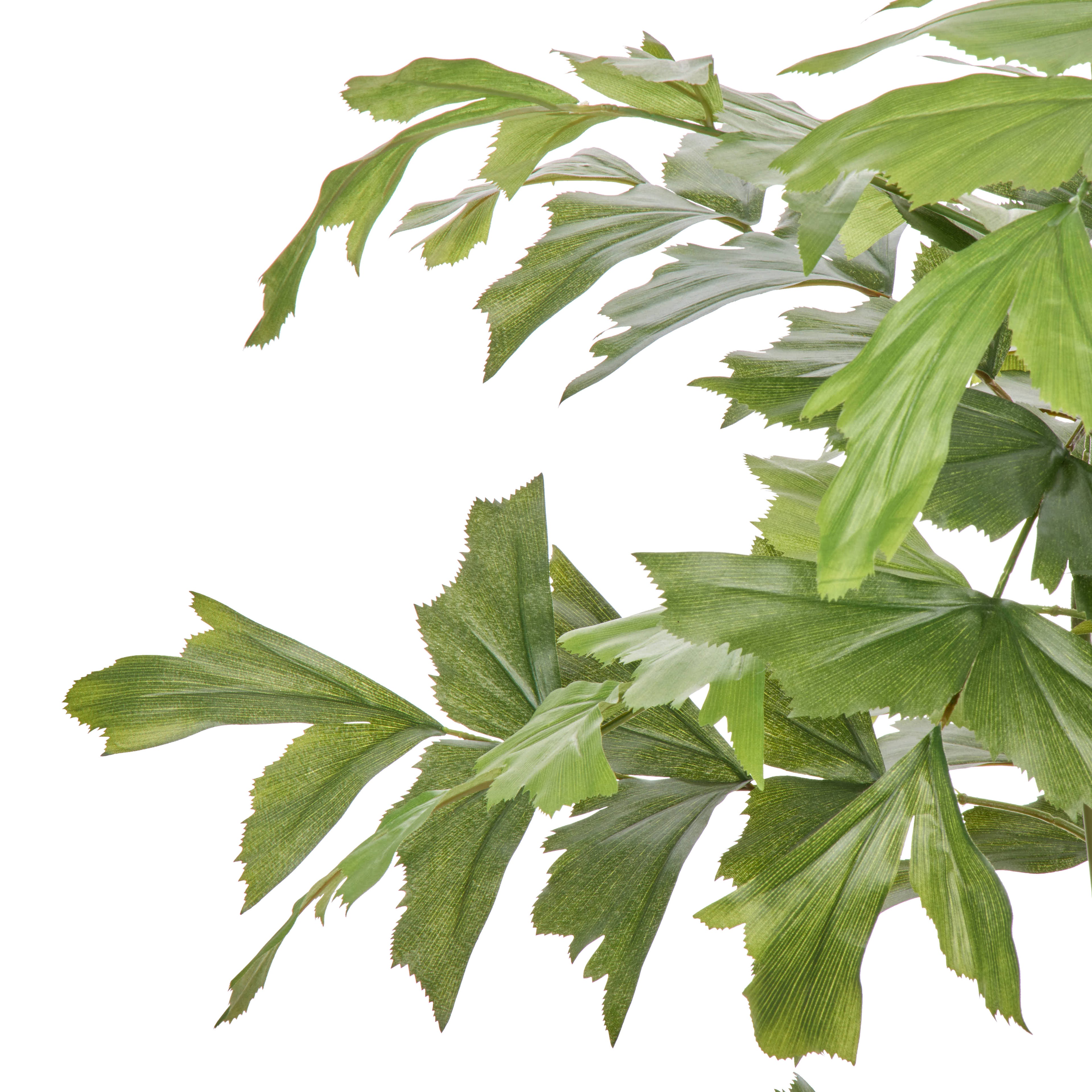 Faux Caryota Palm Tree - Vienna PLanter | Green - 158cm