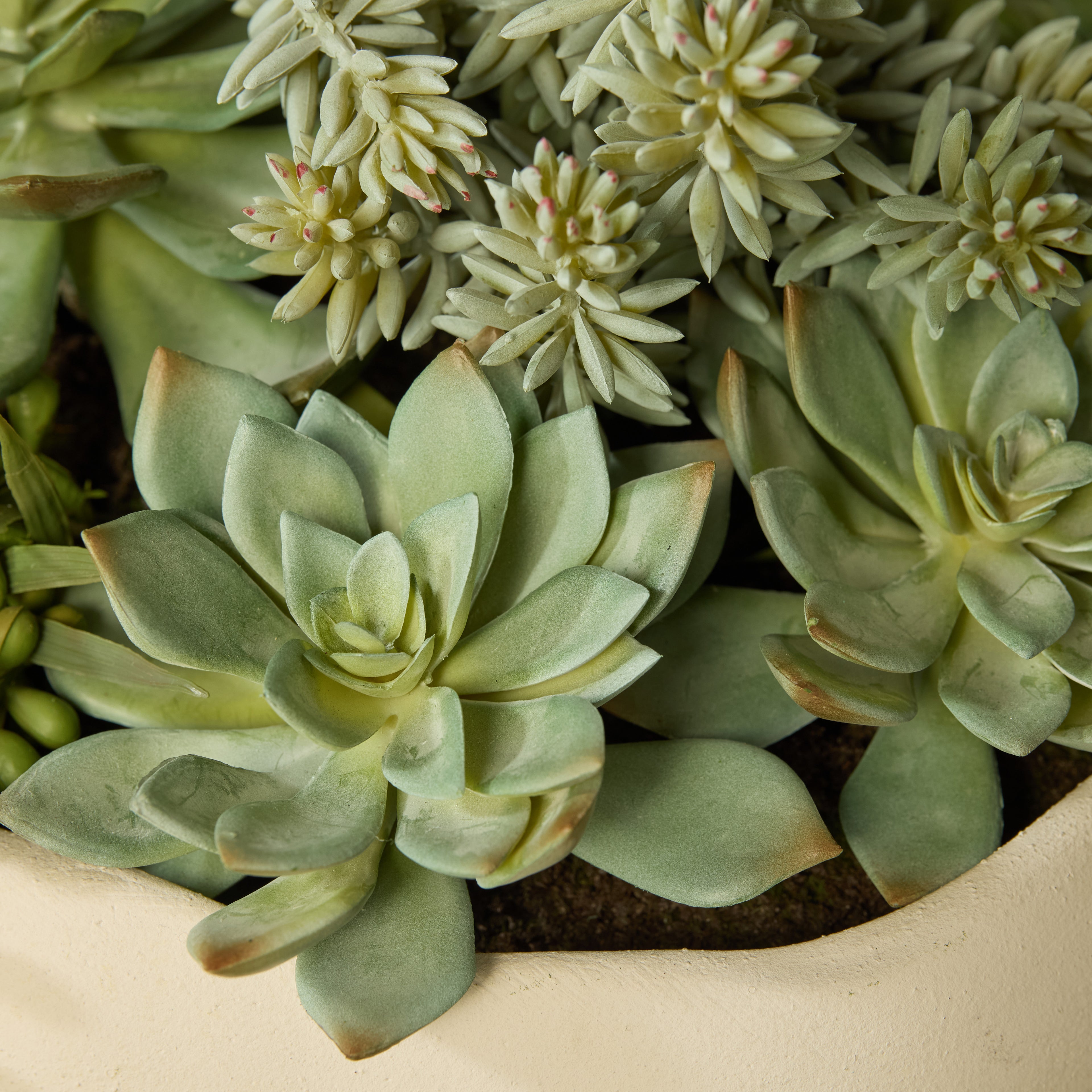 Faux Succulent Garden - Lyon Bowl Planter | Cream - 27cm
