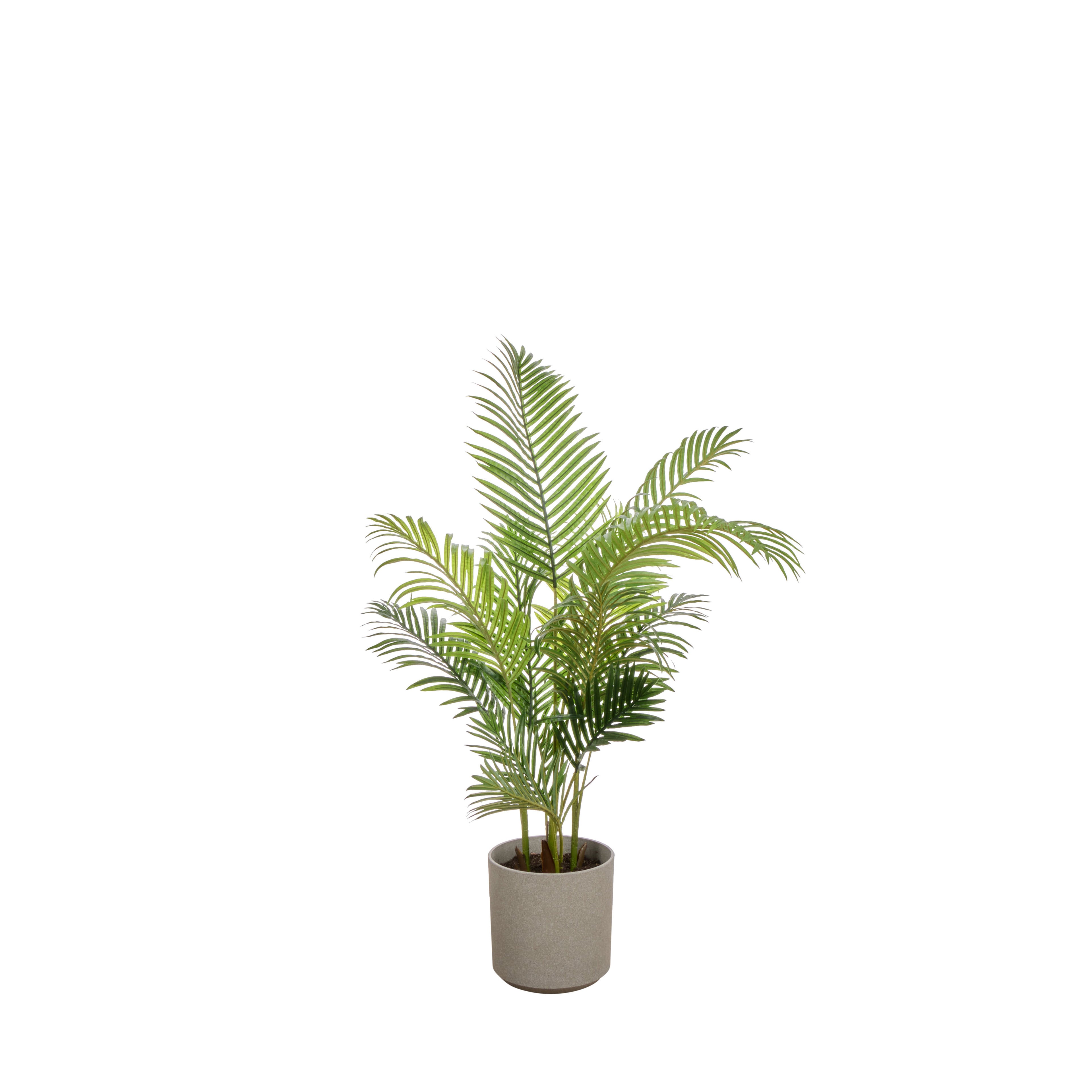 Faux Areca Palm - Cylinder Planter - UV Treated | Green - 145cm