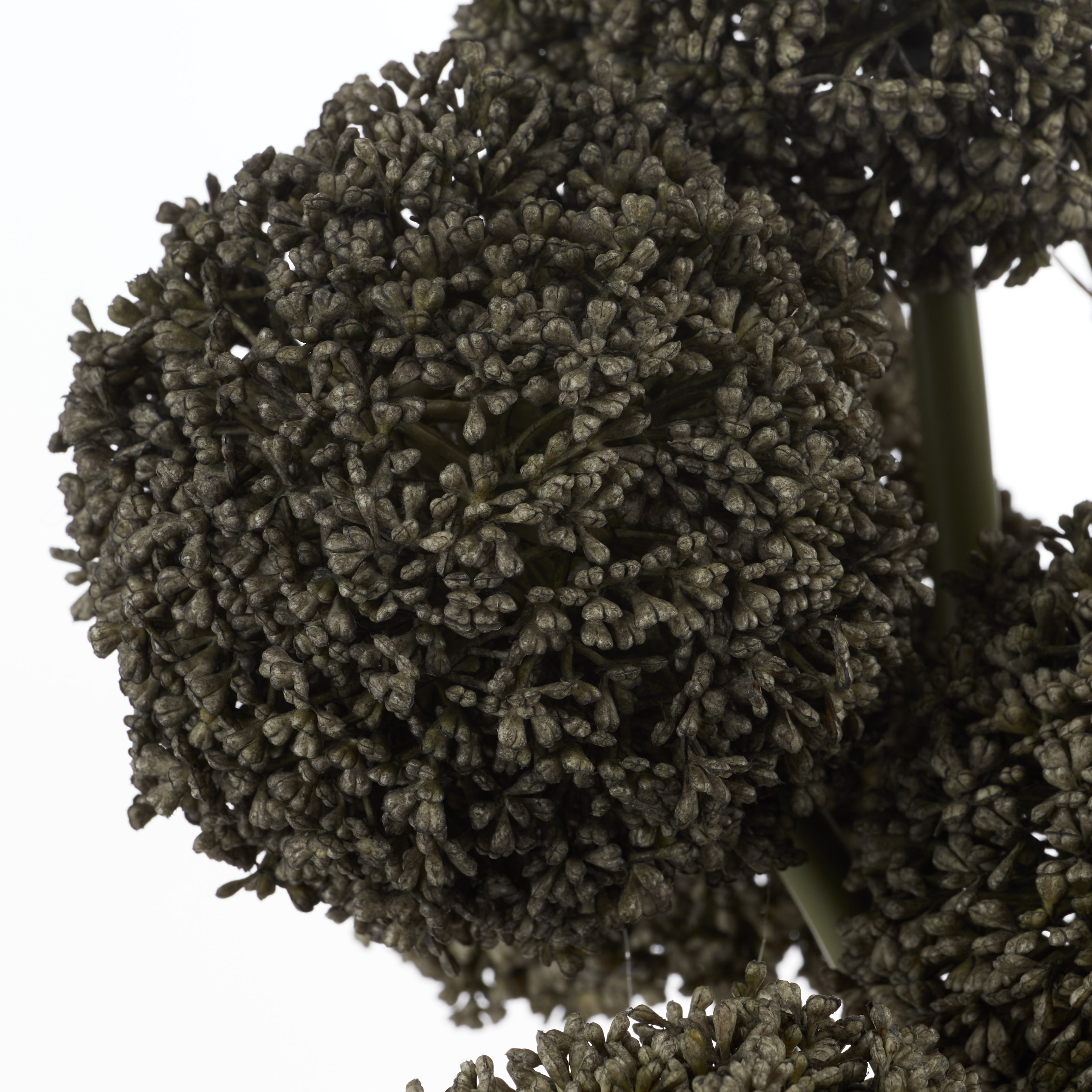 Faux Allium Spray Arrangement - Maliah Pot Black | Green - 65cm