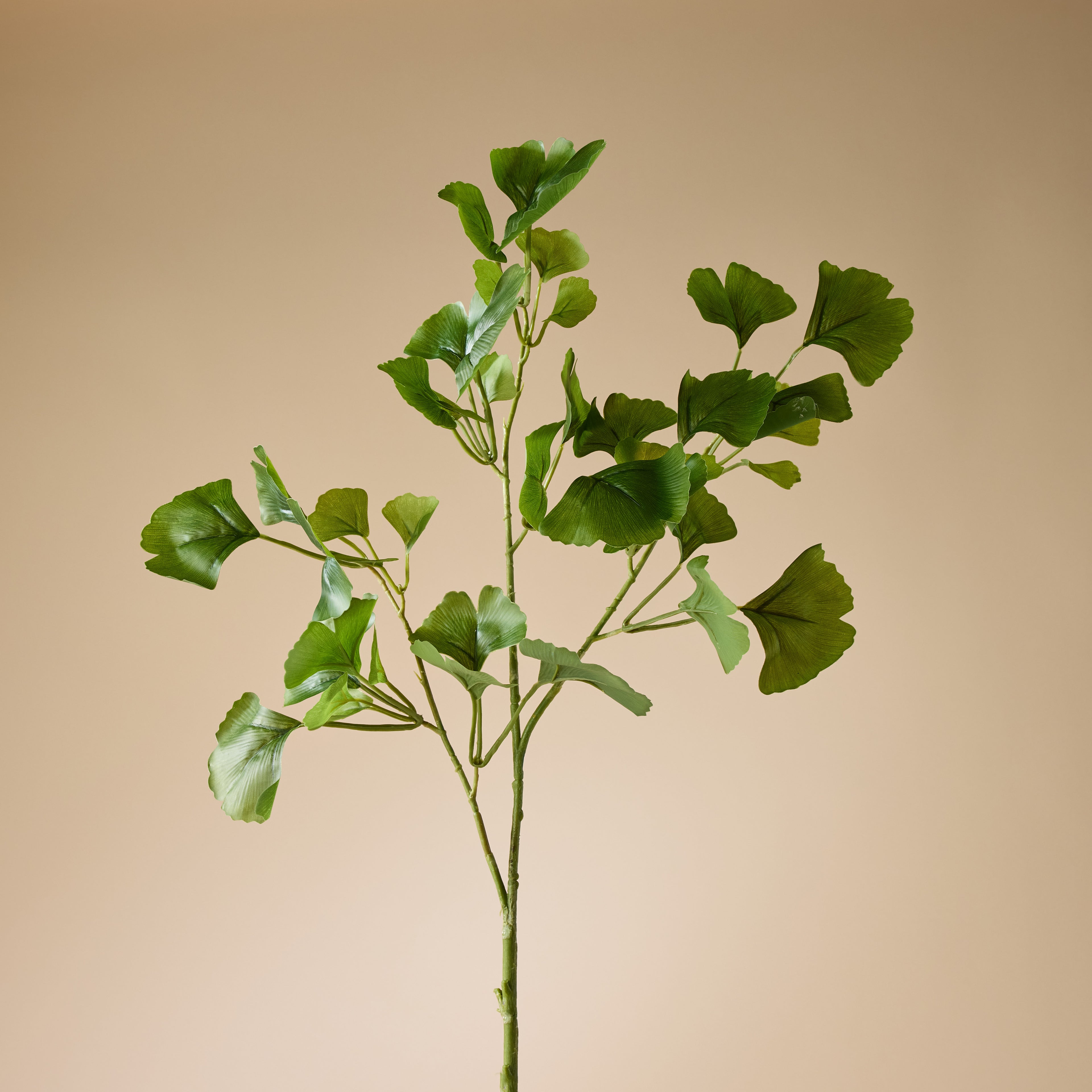 Faux Gingko Leaf Spray | Green - 97cm