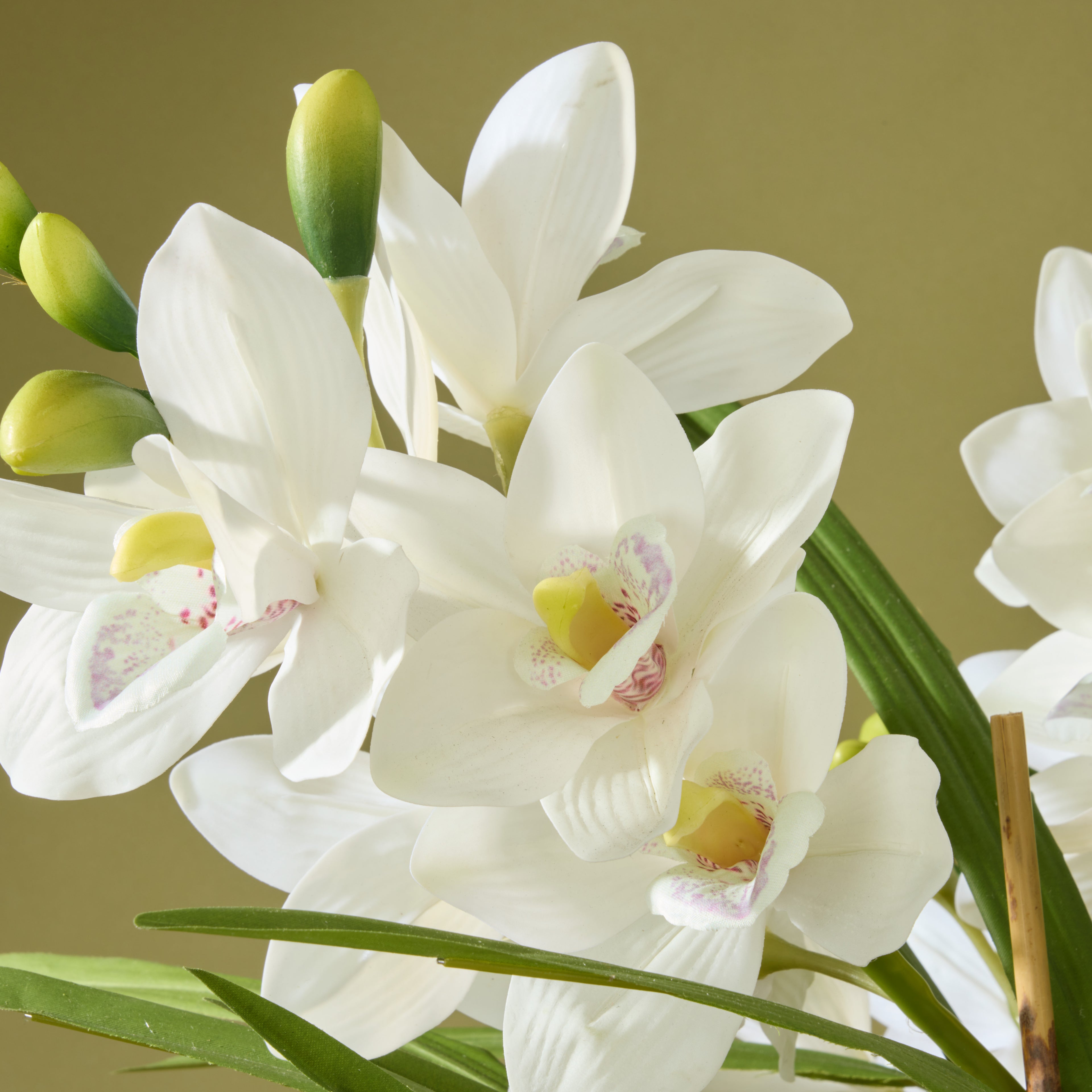 Faux Cymbidium Orchid Pot | White - 85cm