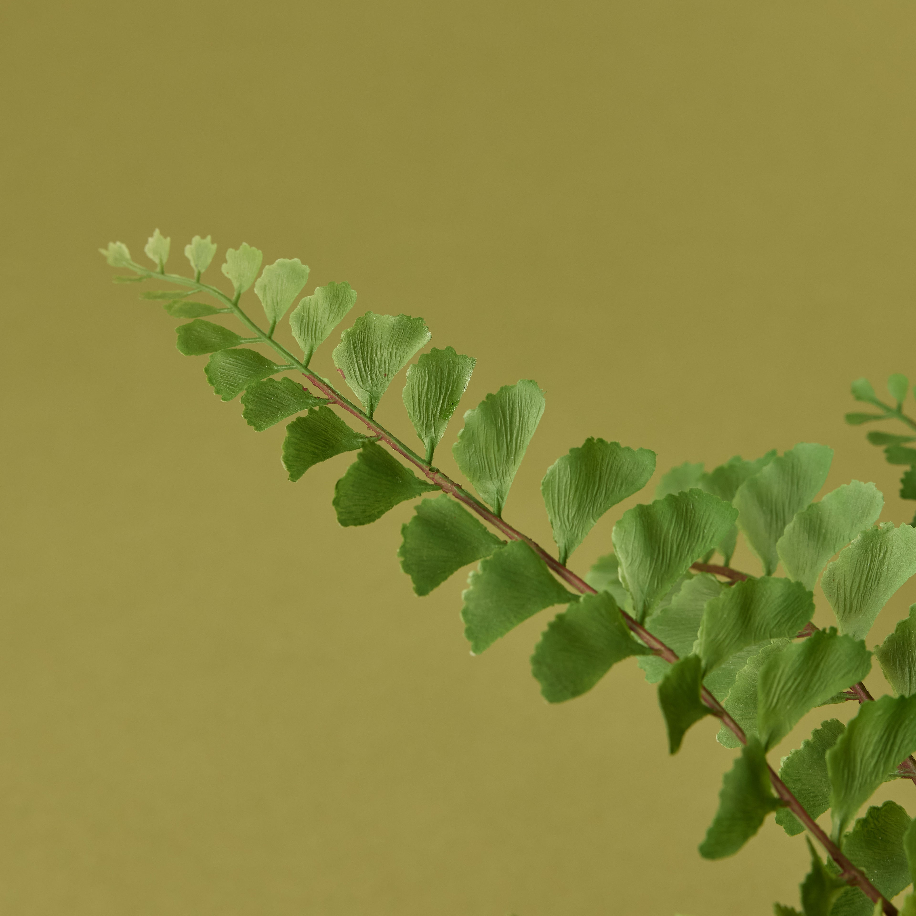 Faux Jewel Fern - Gianna Pot | White - 24cm