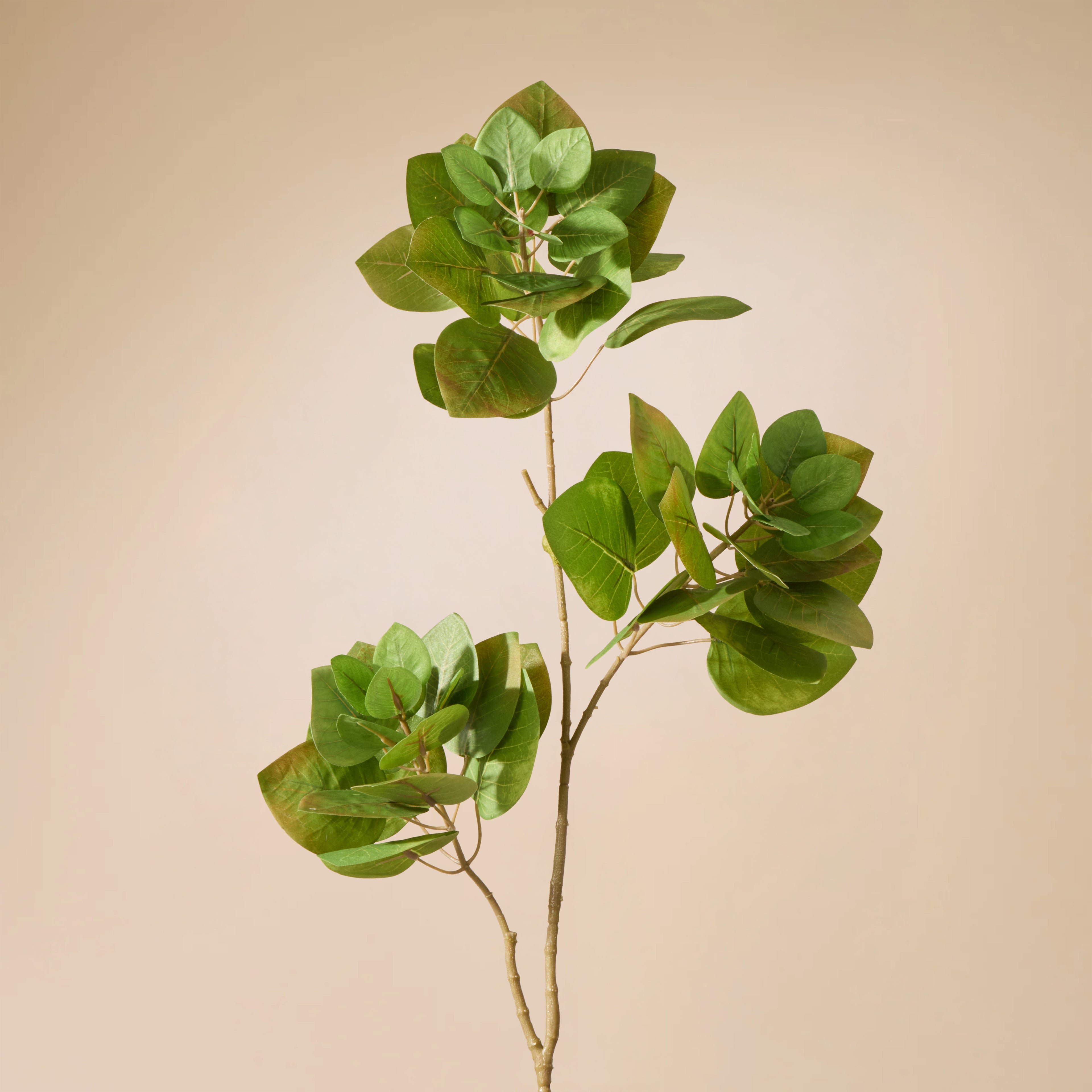 Faux Smoke Bush Spray | Green - 90cm