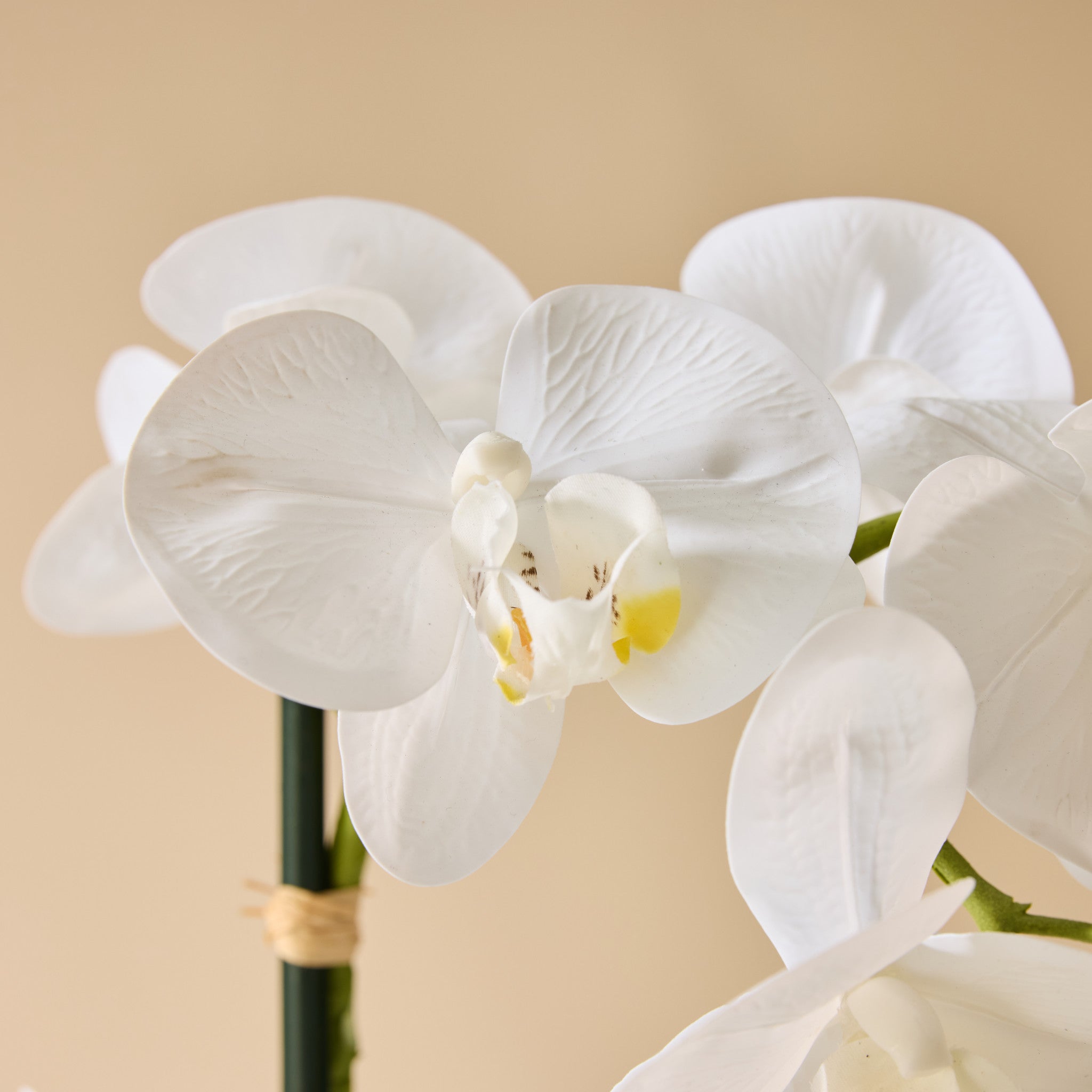 Faux Phalaenopsis Orchid - Black Pot | White - 85cm